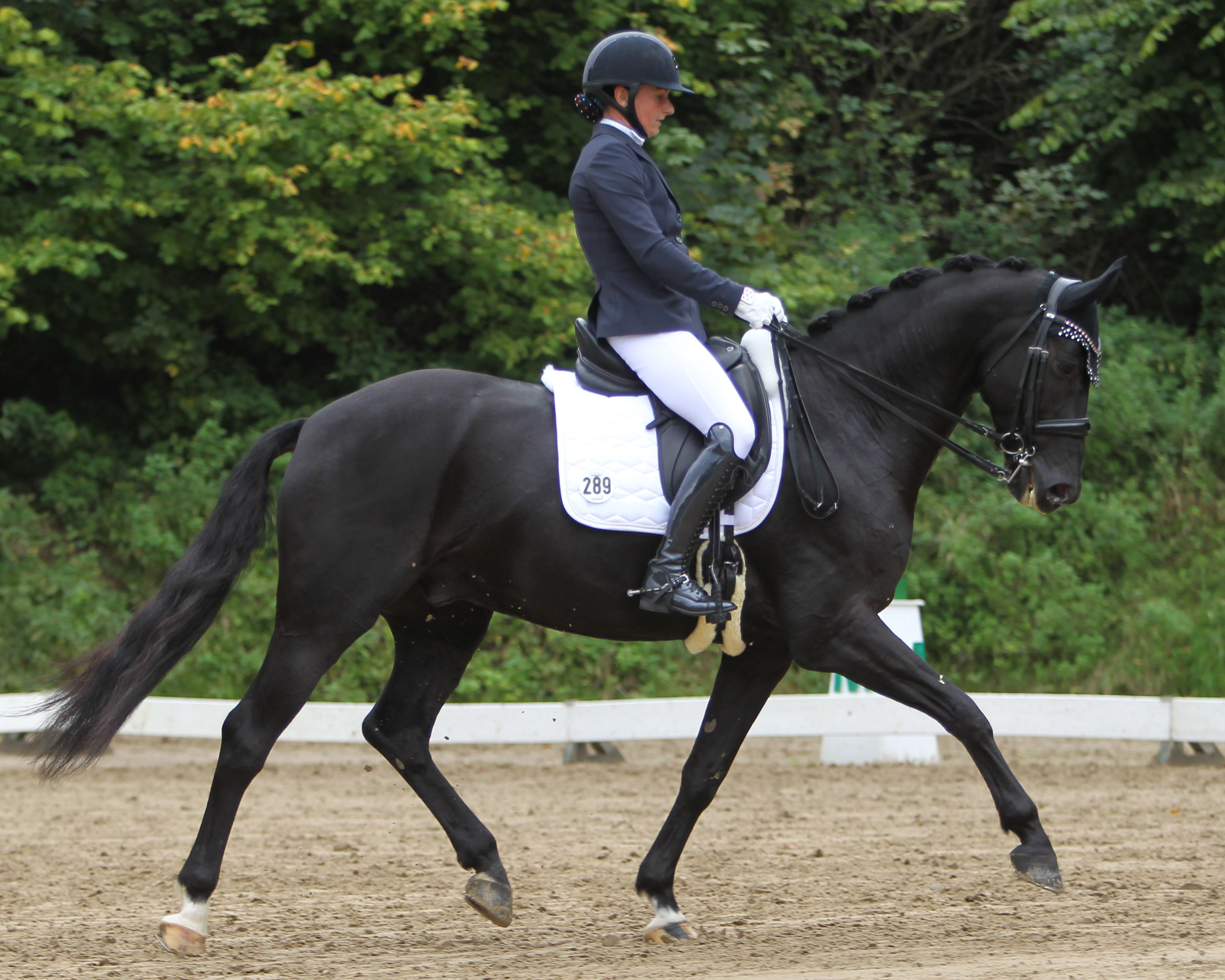 Siegerin der M-Dressur M3 in heimischer Halle wurde Susanne Voß mit dem erst 6-jährigen Senzhai aus der Zucht des Hausherrn Andreas Manski. © Jutta Wego