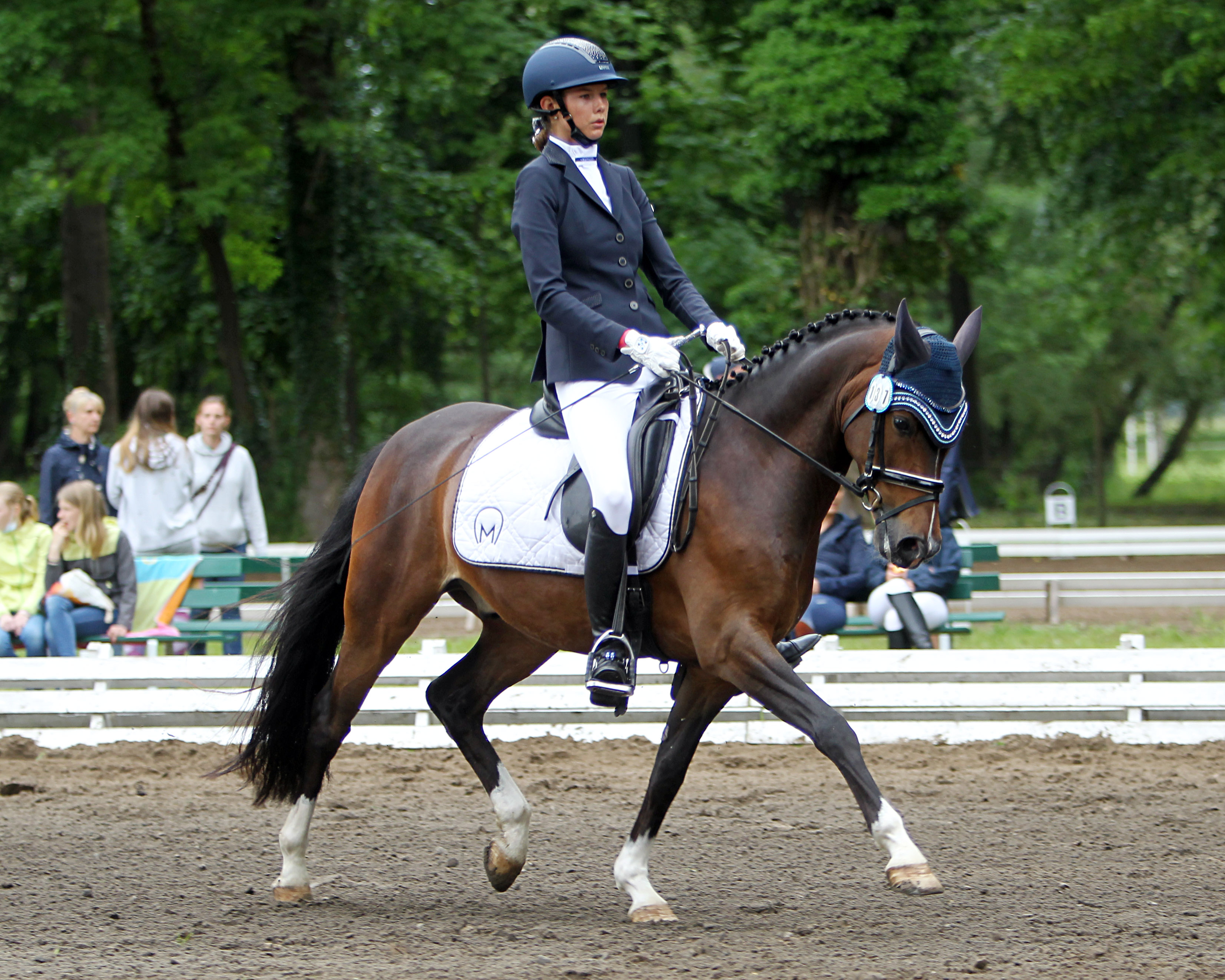 Stella Baranowski (Wöpkendorf) gewann auf Pony Goldkind mit der hohen Wertnote von 8,2 der L-Dressur auf Trense. © Jutta Wego