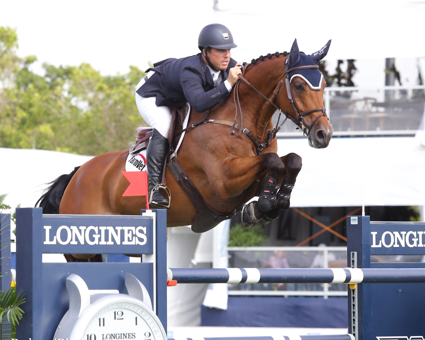 Er ist auch in diesem Jahr die Nummer 1 unter den besten Mecklenburgern. Der 13-jährige Chacco-Blue x Continue-Sohn Carlchen W aus der Zucht von Gernot & Elke Wascher (Redefin) hat mit Alex Granato (USA) 128.472 Euro gewonnen. © Imago