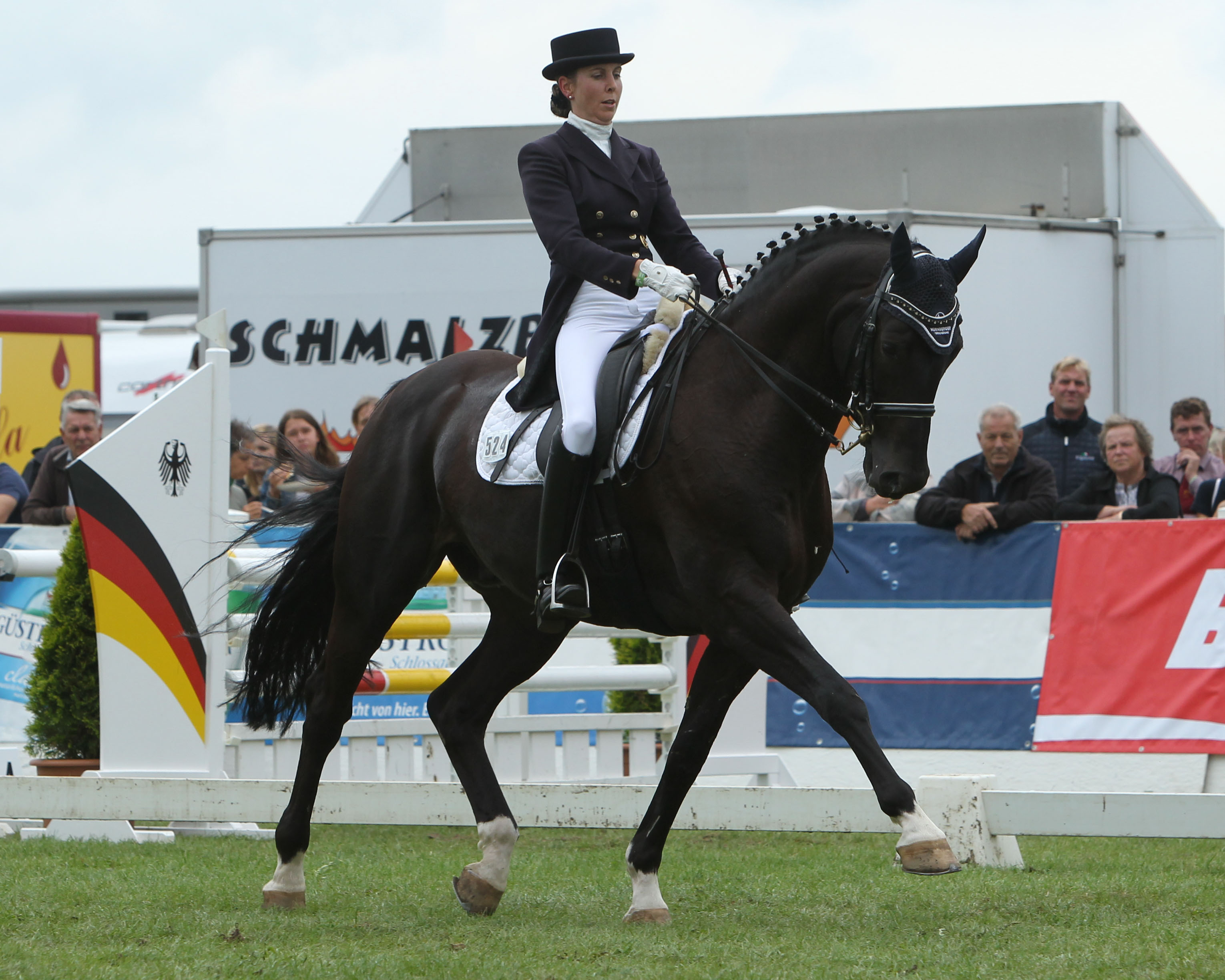 Erfolgreichstes Mecklenburger Dressurpferd war 2021 Coffee to go (Count Up x Juventus) aus der Zucht von Klaus-Peter Nüße (Lenzen), mit dem Christina Thieme (Redefin) 2.327 Euro gewann. © Jutta Wego
