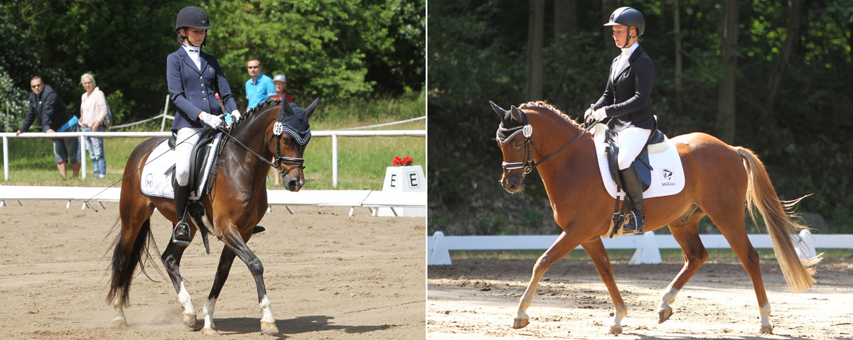 Links die Siegerin im Pony-Dressurranking, die 8-jährige Stute Goldkind (Golden Dream R x Dornik Boy), mit Stella Baranowski (Wöpkendorf) im Sattel. Züchter ist Martin Thielk (Jürgenshagen).Rechts der 11-jährige Domino (Top Dubidu x Don Joshi AT) den Armin & Elke Spierling (Gristow) gezogen haben. In diesem Jahr unter Ann Christin Mehl (Zingst) auf Rang 3 zu finden. © Jutta Wego