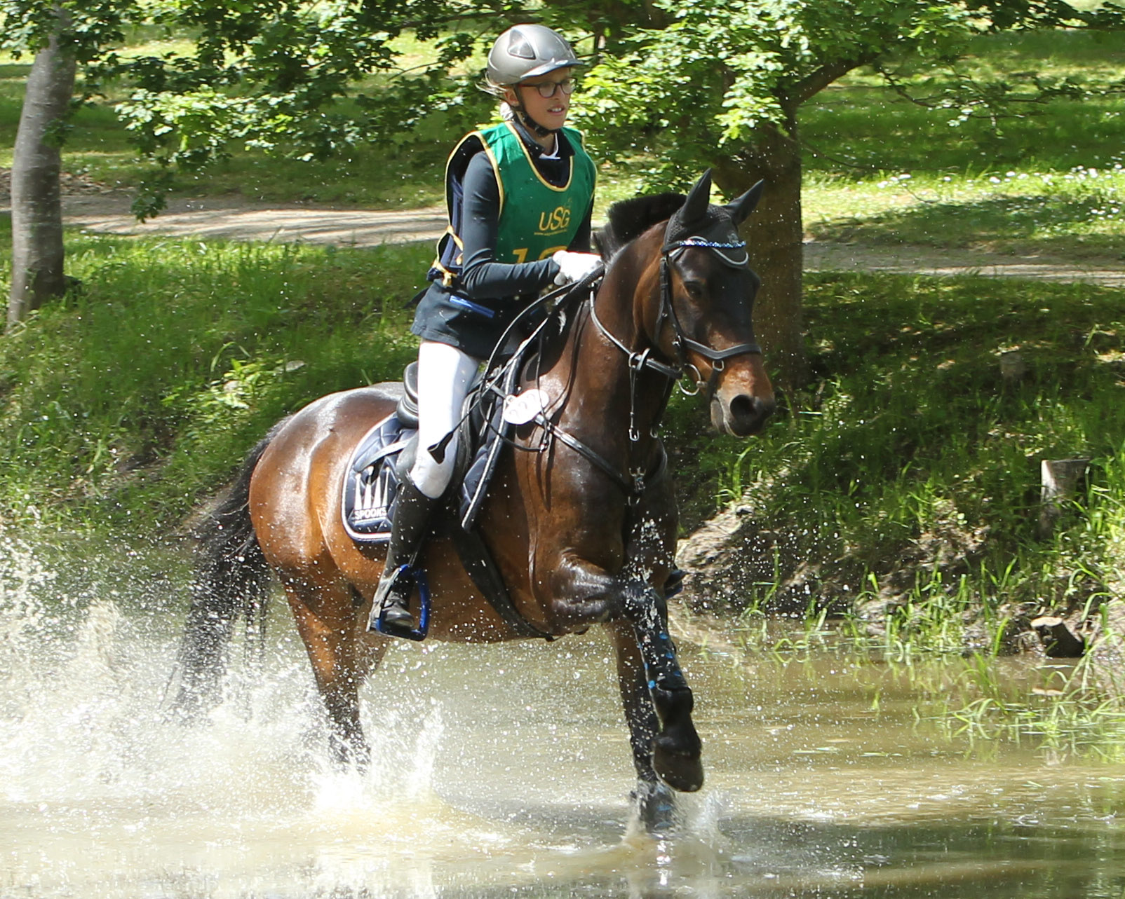 Unter den Vielseitigkeitsponys nimmt der 16-jährige Honey (Honeymoon Star x Agnus Dei) unter Nele Wunderberg (Loitz) die Spritzenposition ein. Gezogen wurde er bei Sabine Pohle in Groß Freienholz. © Jutta Wego