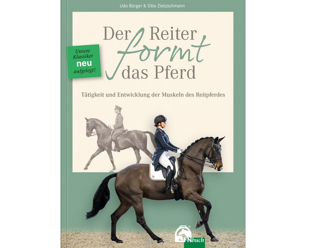Der Reiter formt das Pferd