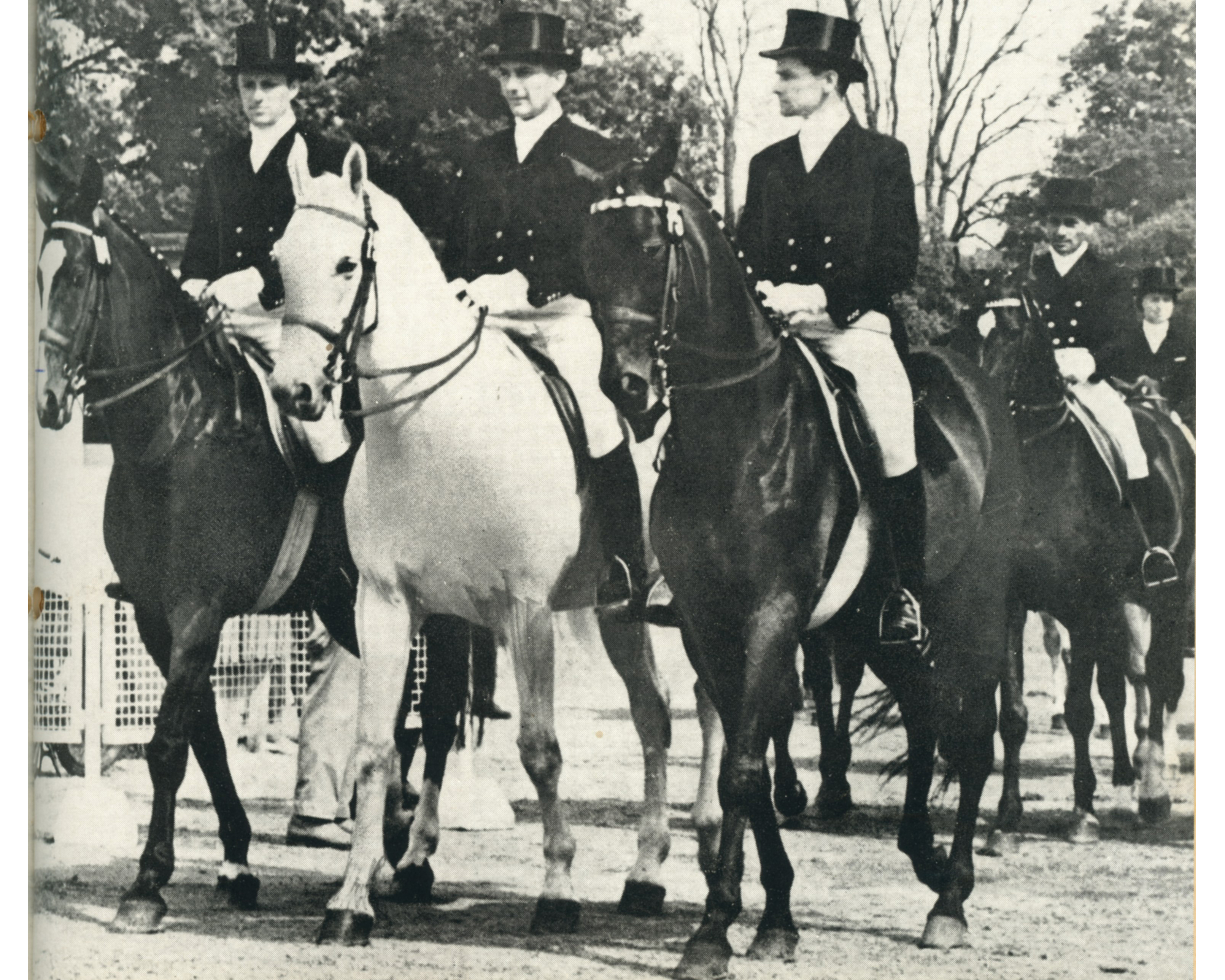 Historie: Der Pferdesport in der DDR (14. Folge) 1969