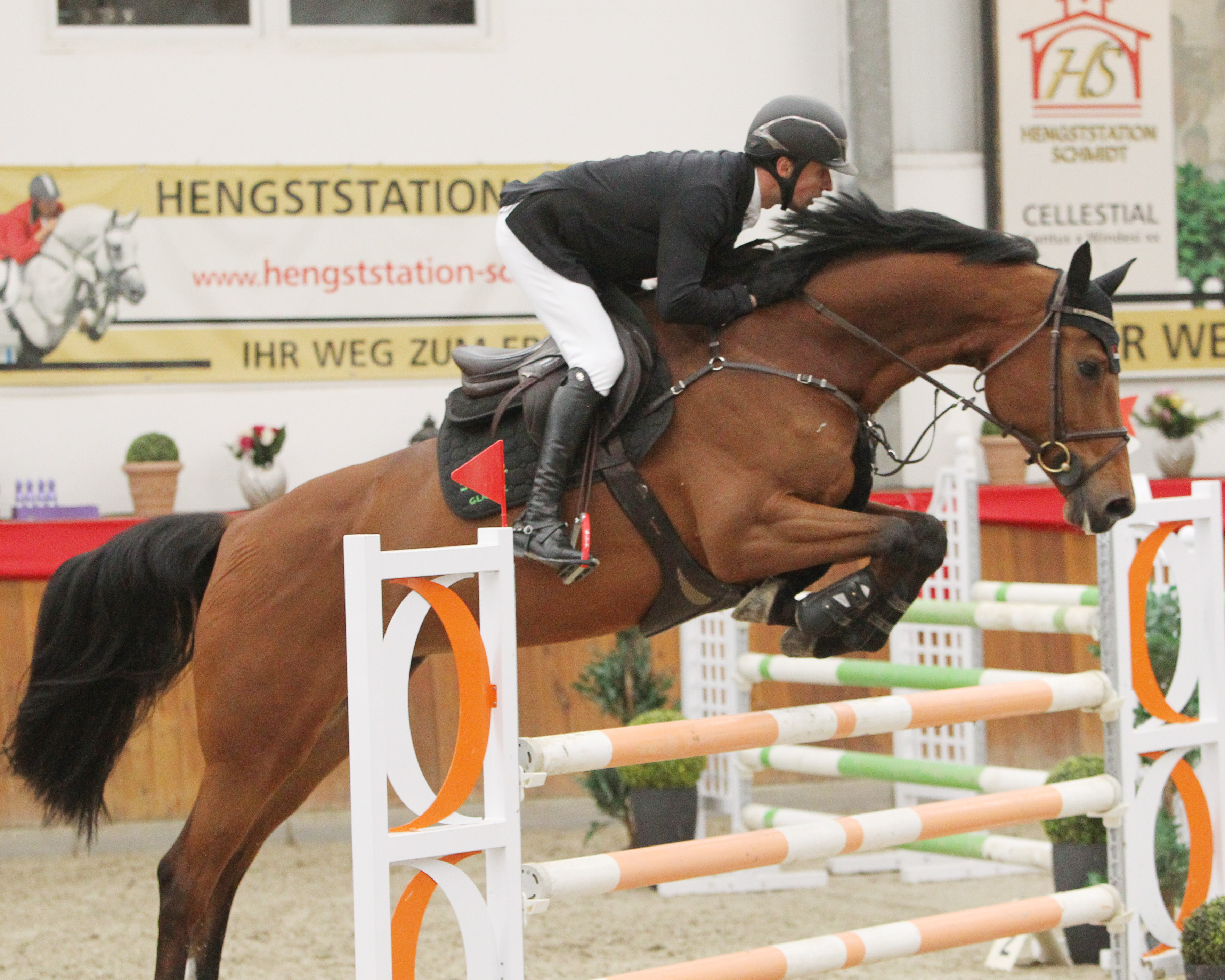 Zu den M-Siegern von Neu Benthe gehörte auch Christoph Lanske (Dersekow) mit der 7-jährigen Stute Halina. © Jutta Wego