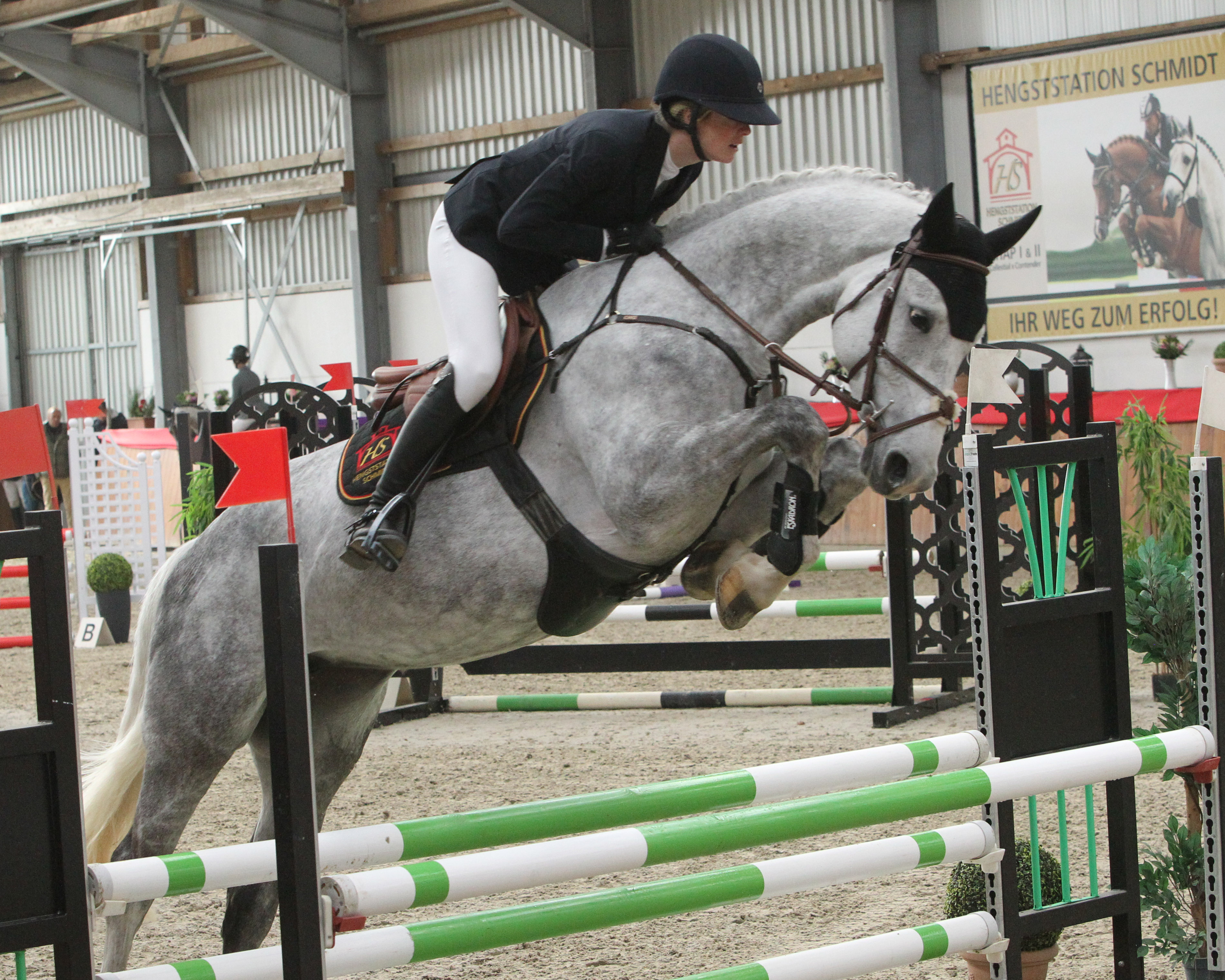Die 5-jährige Stute Carina (Cellestial x Corado I) sprang für ihren jüngeren Vollbruder Cellado ein und gewann mit Wertnote 8,7 unter Denise Svensson die Erste Tagesprüfung in Neu Benthen. © Jutta Wego