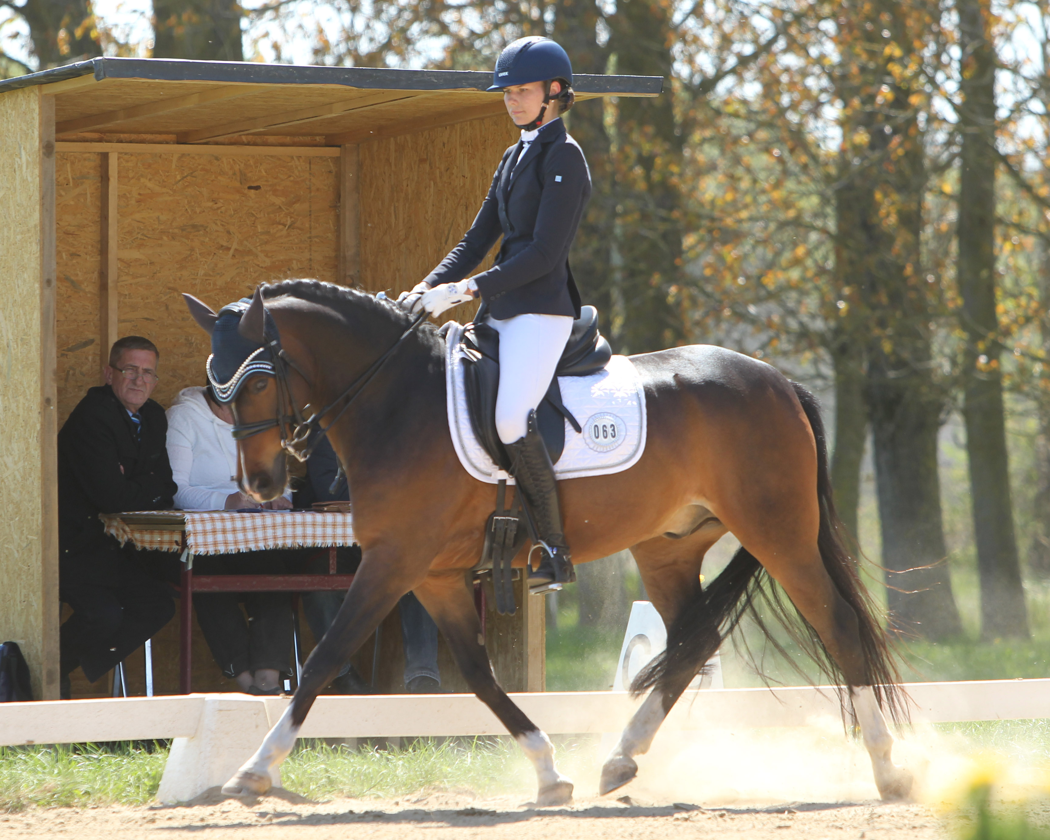 Die L-Dressur L5 am Samstag gewann Stella Baranowski vom Gastgeber Wöpkendorf mit einer fehlerfreien Vorstellung auf Pony Goldkind. © Jutta Wego