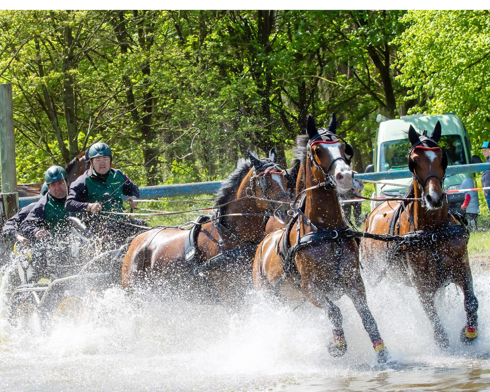 Mit einer bravourösen Leistung im Gelände sicherte sich Mario Schildt der Sieg in der 2M-Kombi“ der Vierspänner mit Großpferden und verteidigte seinen Meistertitel aus dem Vorjahr. © KaLo