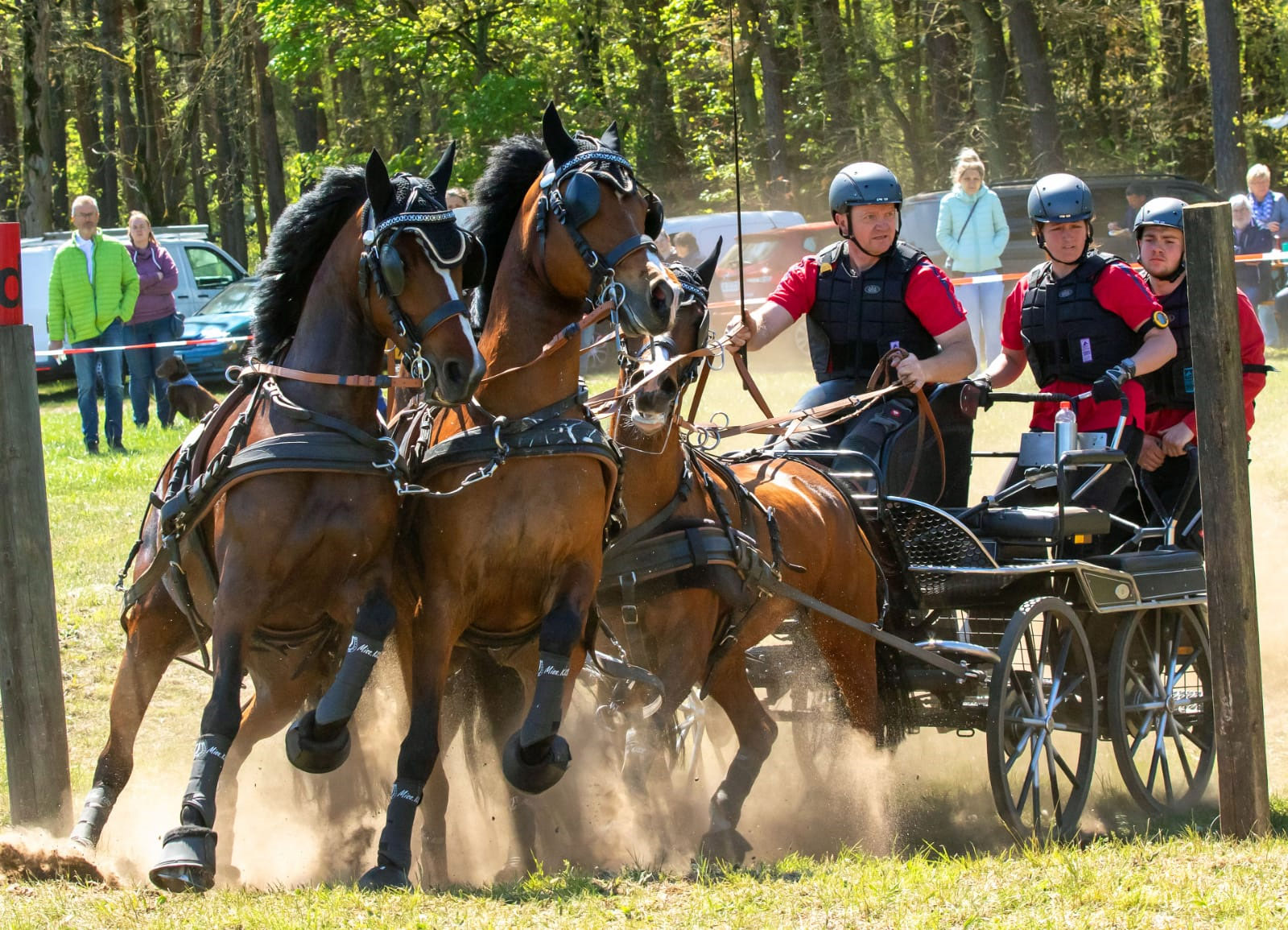 Die Ponykonkurrenz der Vierspänner gewann Nicky Paluszek aus Panitz in Sachsen. © Archiv Wego