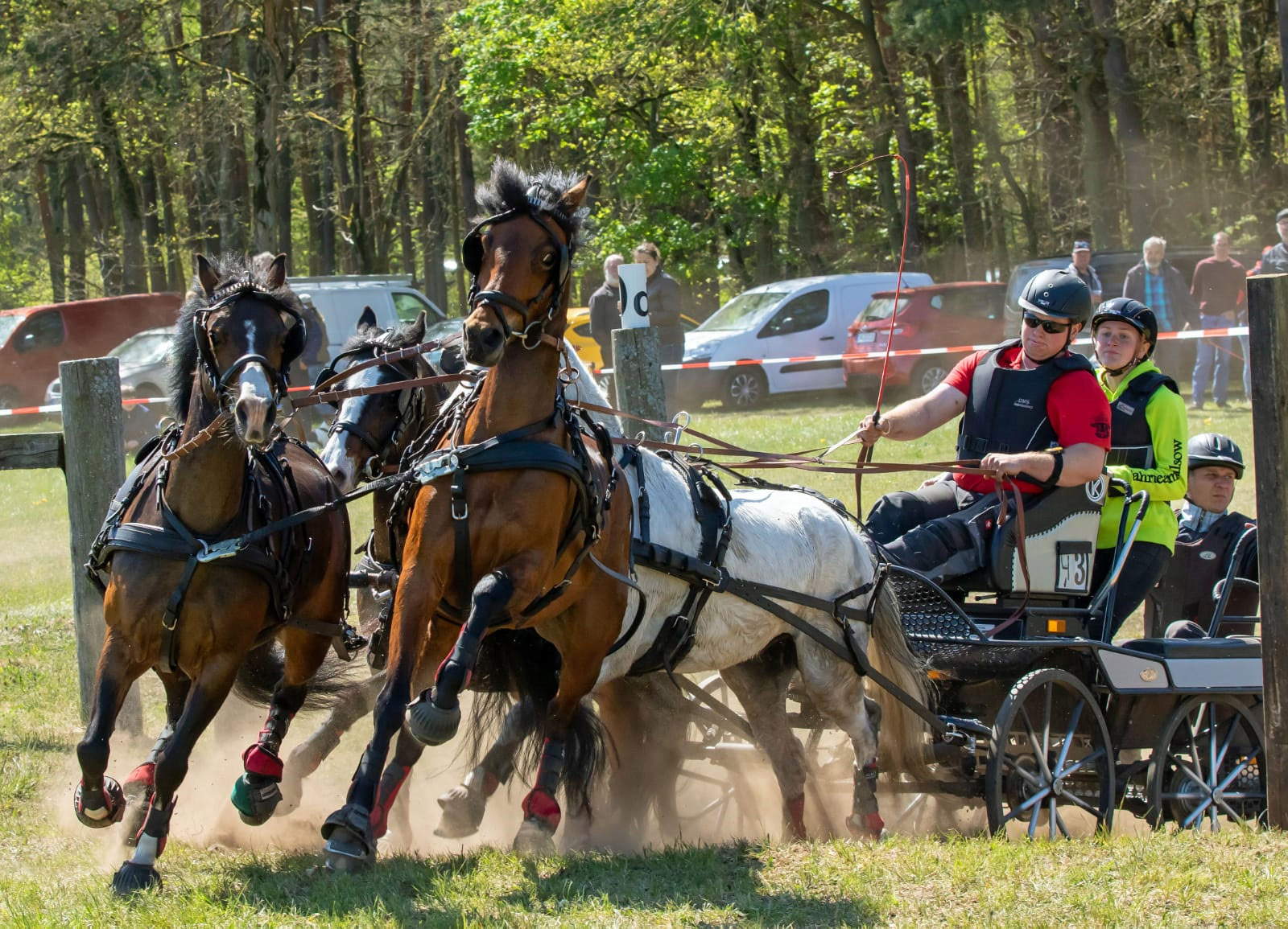 Einziger MV-Starter bei den Pony-Vierspännern war Mathias Wolf vom Gastgeberverein mit Reitponys seines Vaters Thomas Wolf. © KaLo