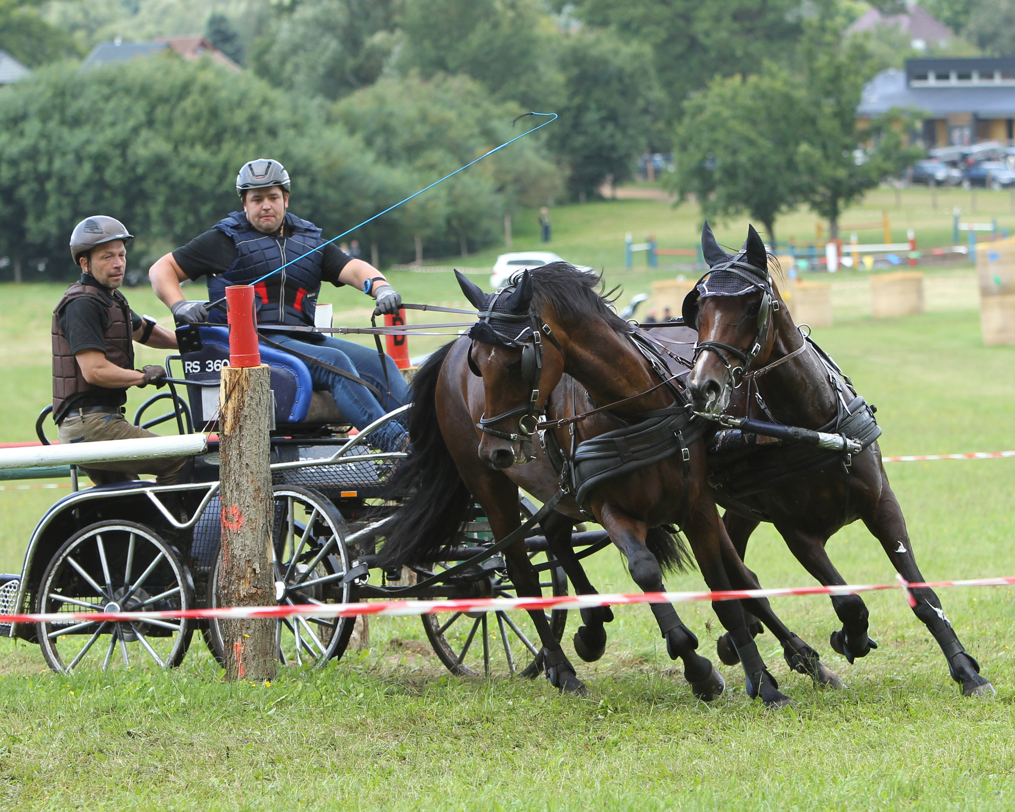 Der 27-jährige Thobias Kriemann von der Reitergilde Katzow gewann die Kombinierte Prüfung Klasse M für Zweispänner mit Großpferden. © Archiv Wego