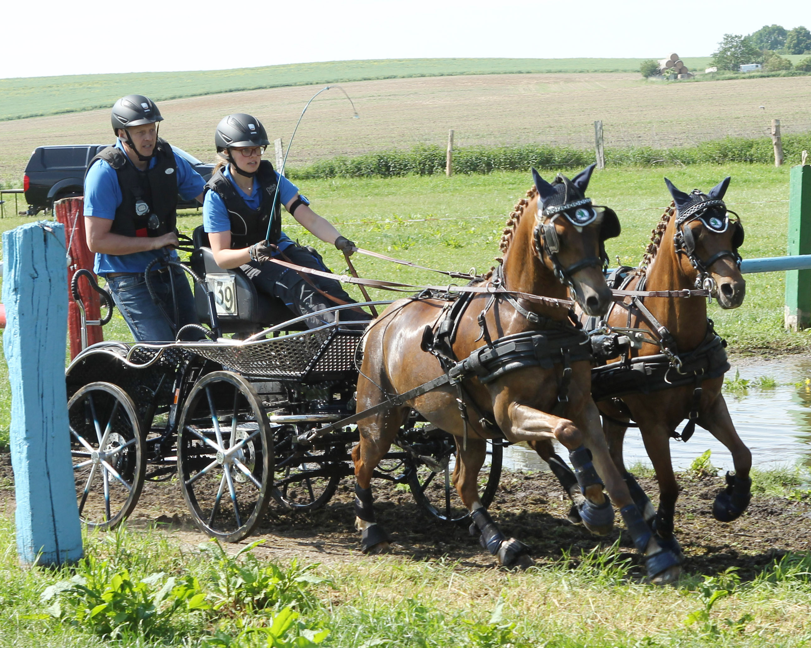 Die 20-jährige Amelie Müller aus Oebisfelde (Sachsen-Anhalt) gewann die Ponykonkurrenz der Zweispänner. © Archiv Wego