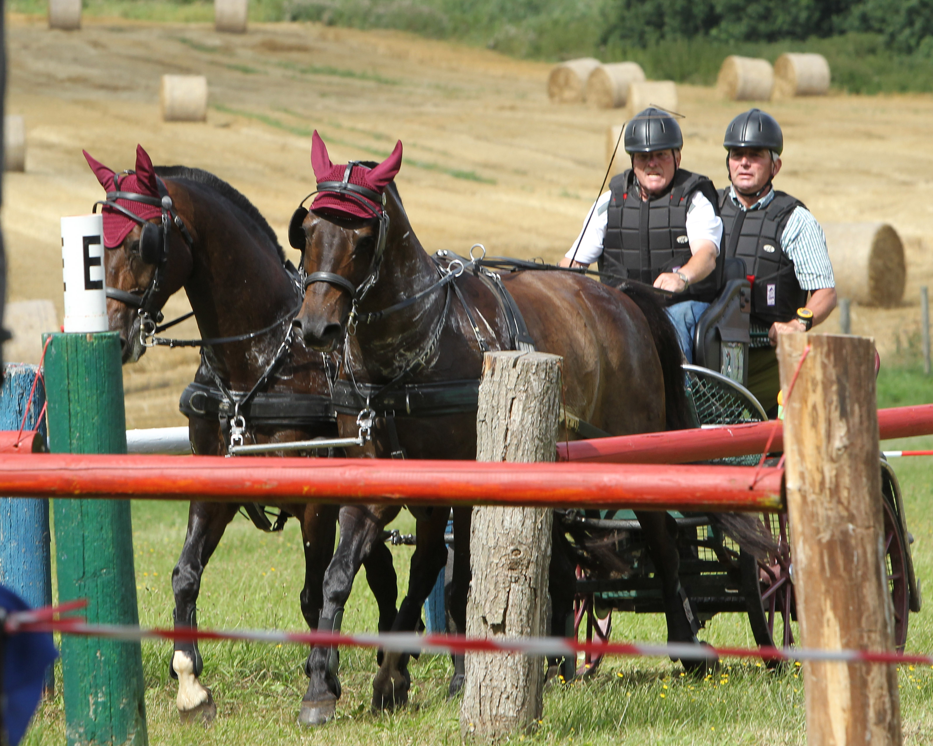 Der 67-jährige Turnierleiter des Fahr- und Reitturniers am 28. und 29. Mai in Bollewick, Heinz Priestaff, nimmt die Leinen auch selbst in die Hand, wie hier 2021 bei seinem Hausturnier in Bollewick. © Jutta Wego