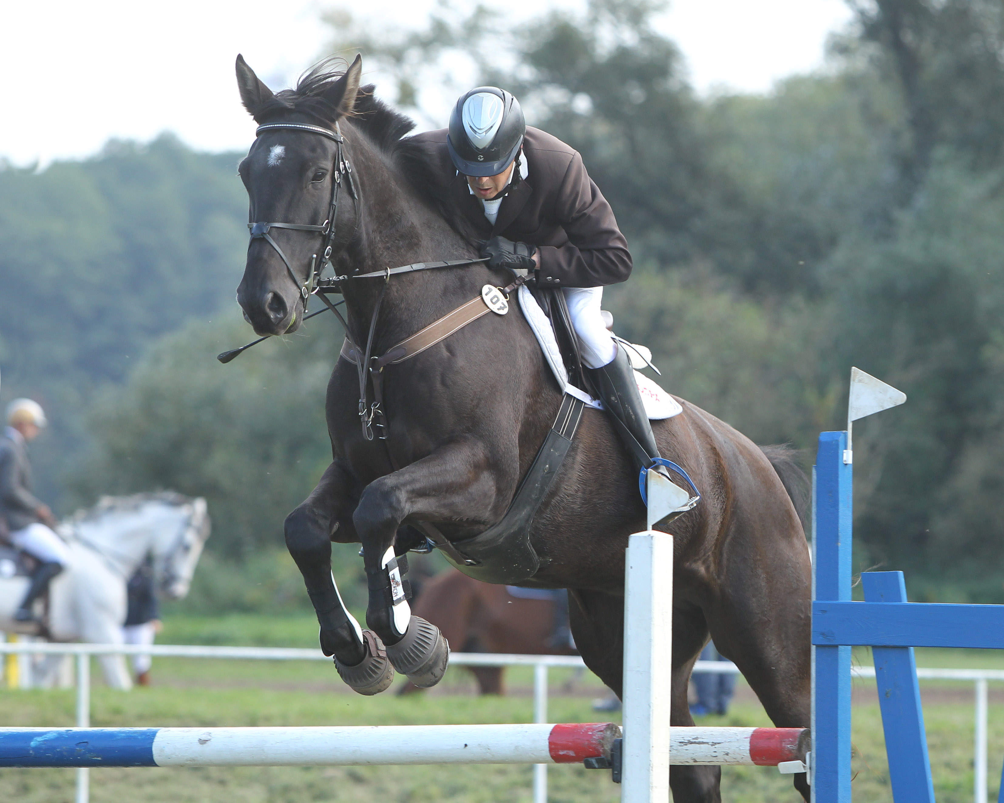 Das 1. Wertungsspringen der großen Tour, ein Zwei-Phasen-Springen Klasse L, gewann der 59-jährige Dieter Gottschalk aus Gr. Vielen auf dem selbstgezogenen Wallach Stovinsky. © Jutta Wego