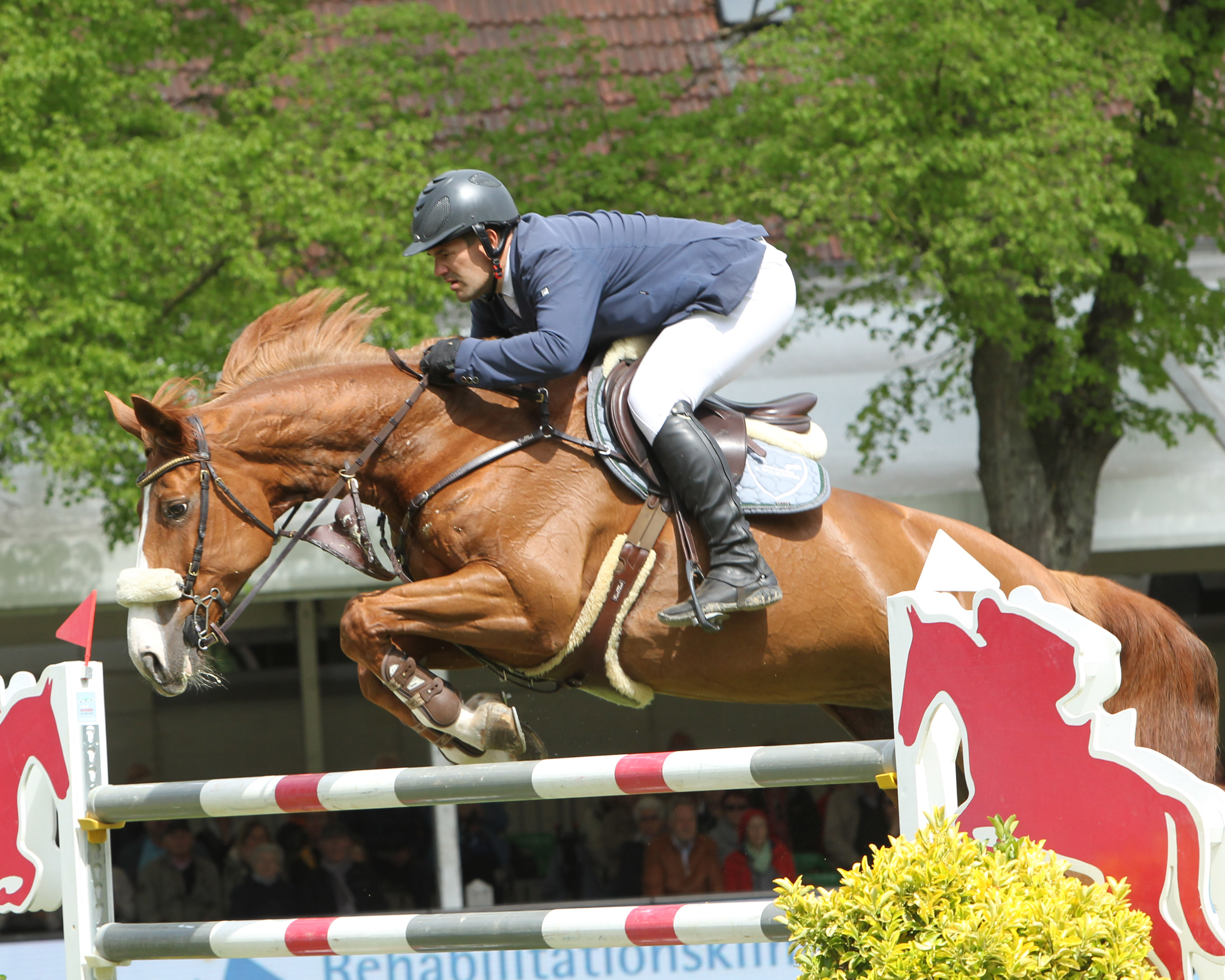 Benjamin Wulschner aus Dahlen gehörte zu den erfolgreichsten ostdeutschen Reitern, hat auf Crystal das Zeitspringen gewonnen und wurde am Sonntag im Finale der mittleren Zweiter auf Bangkok Girl PP. © Jutta Wego