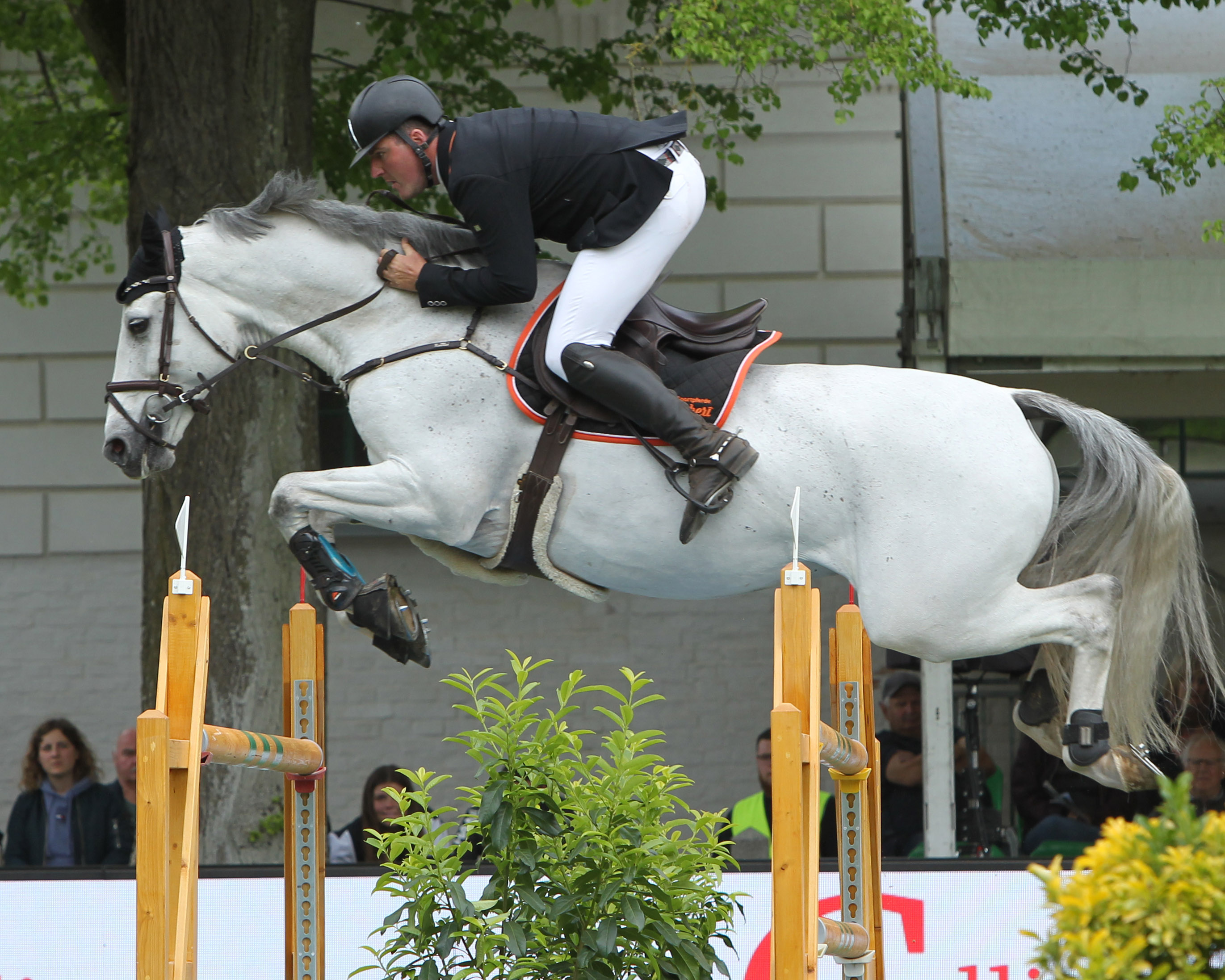 Max-Hilmar Borchert (Stechlin) startete in der großen Tour mit Cent-blue auf einem 2. Platz. © Jutta Wego