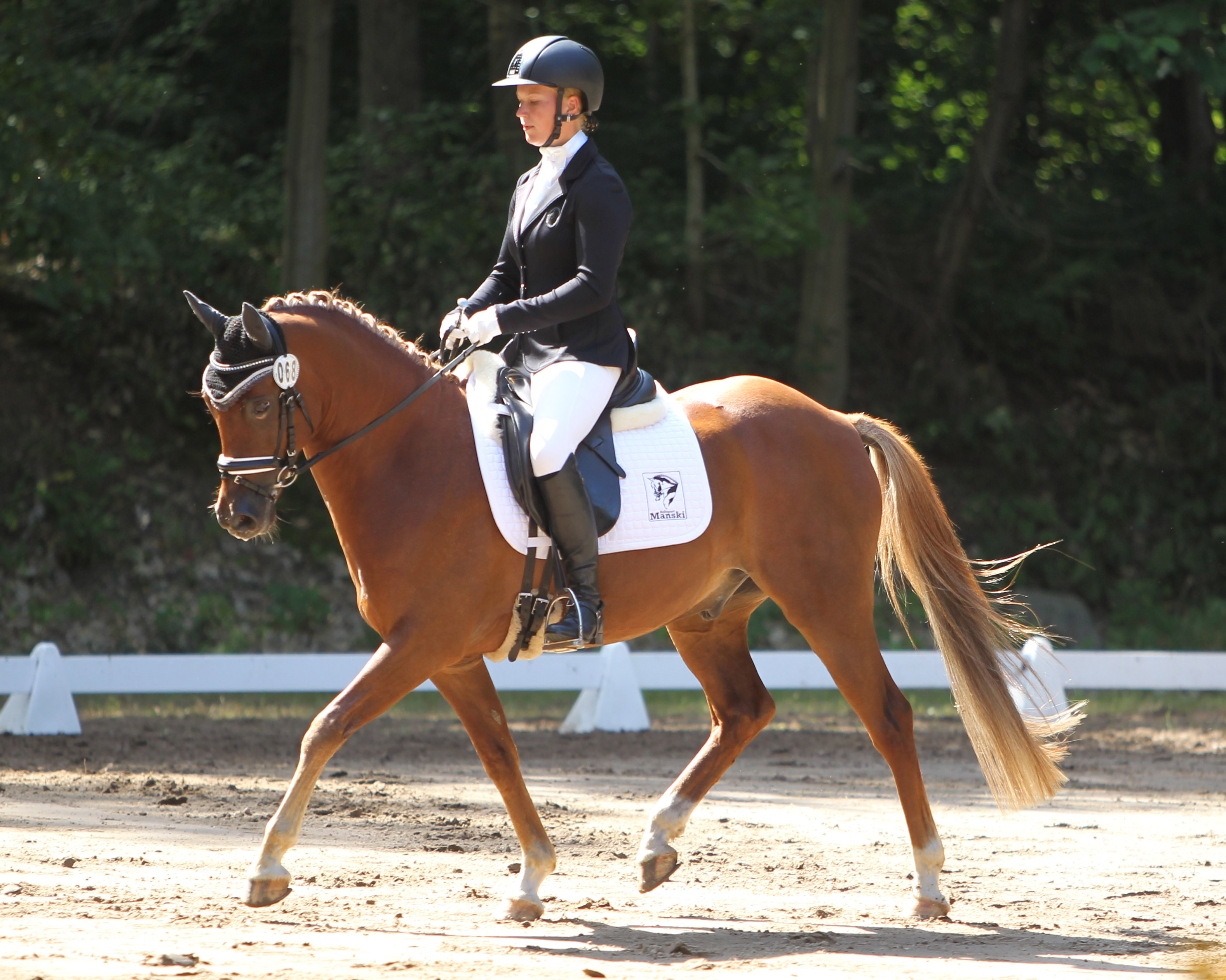 In den beiden L-Dressuren von Teschow kam keiner an Ann-Christin Mehl aus Zingst vorbei, die auf dem Pony Domino beide Prüfungen mit 8,5 (L3) bzw. 8,0 (L4) gewann. © Archiv Wego