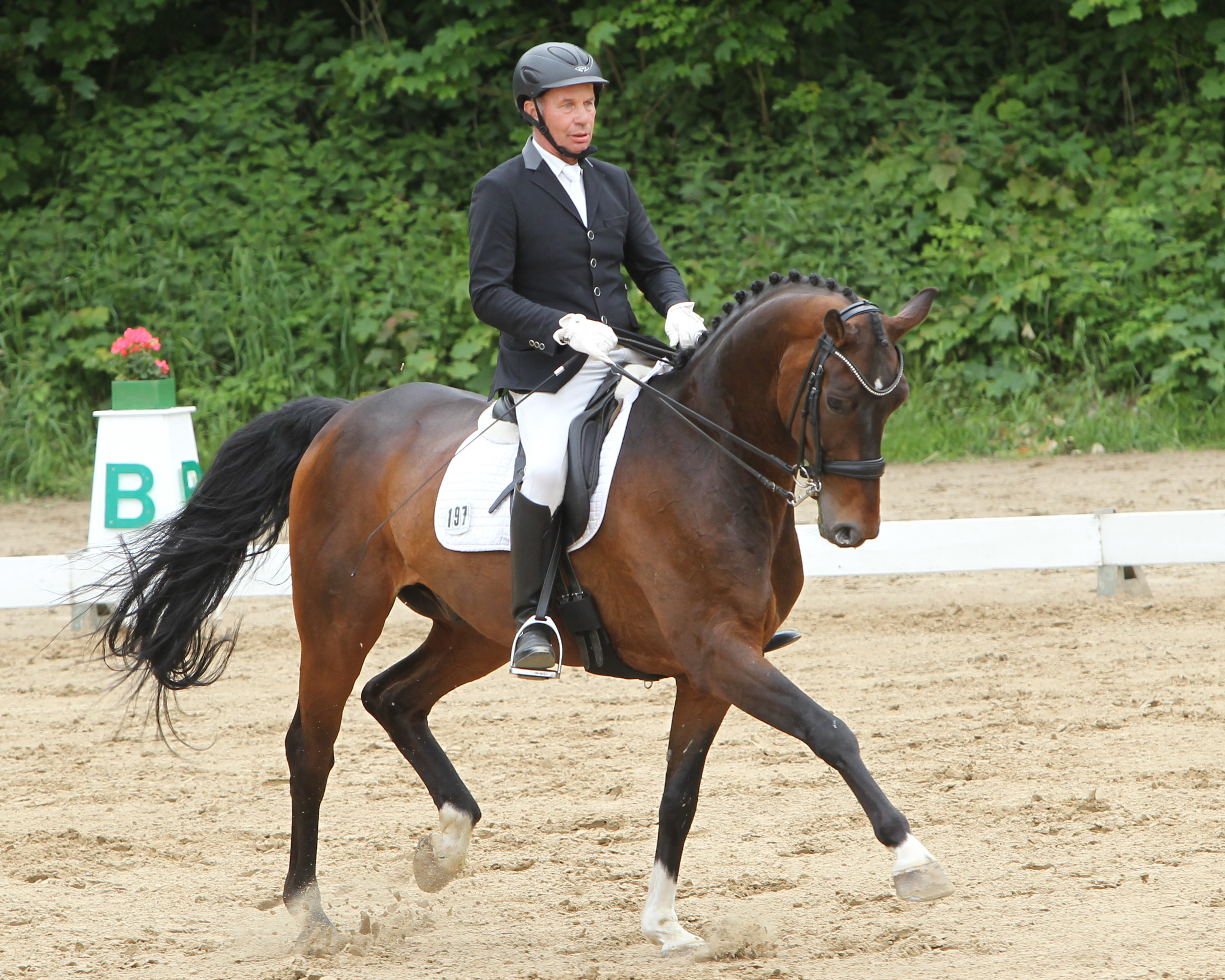 Sieger der M-Dressur, sportlicher Höhepunkt auf dem Dressurviereck, wurde Rüdiger Tremp aus Stülow auf dem 9-jährigen Fürstenball-Sohn Focus. © Jutta Wego