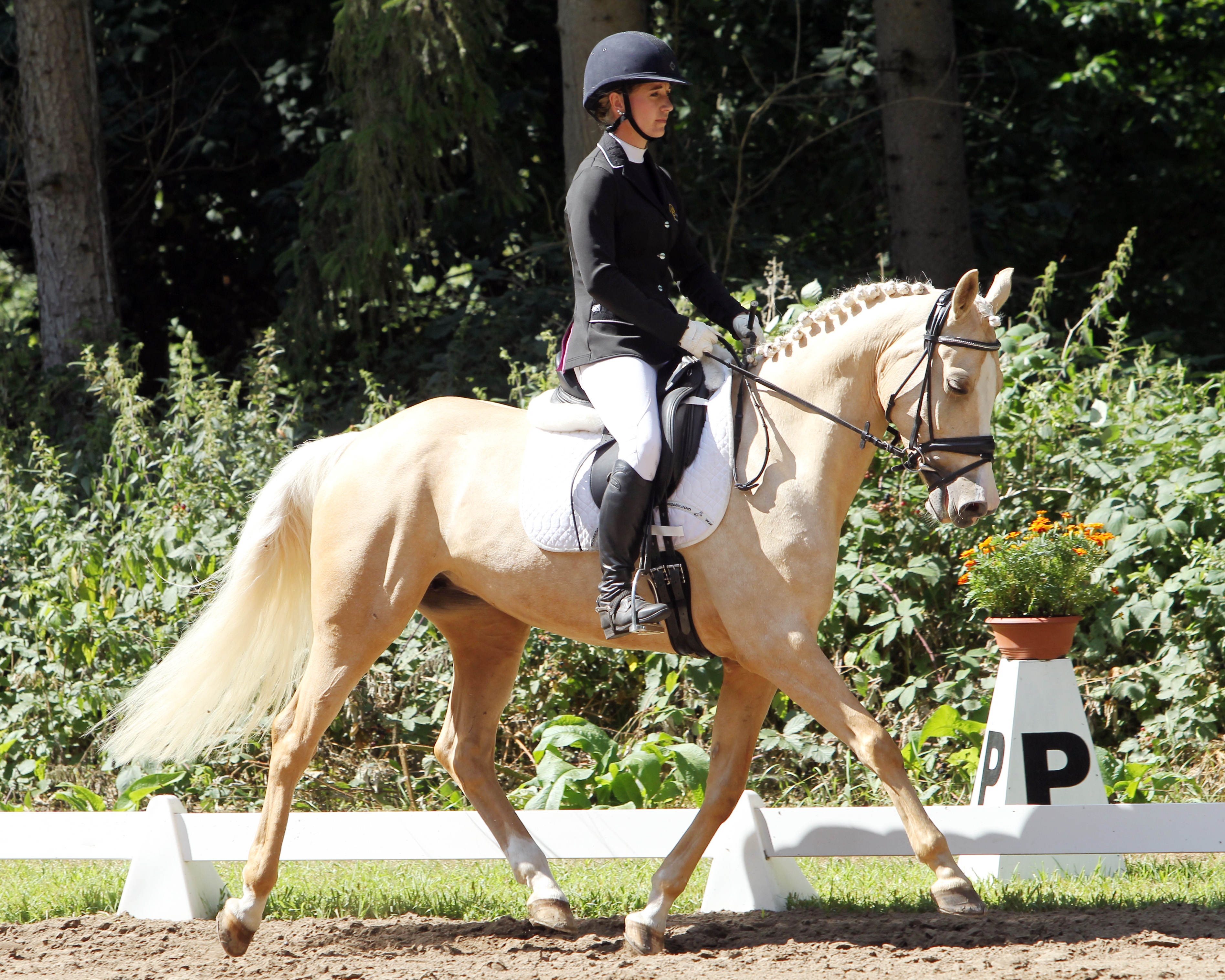 Zu den Dressursiegern gehörte Romy Bischoff (Wendorf), die mit der 7-jährigen Ponystute What a Ladys Charme eine A-Dressur gewann. © Archiv Wego