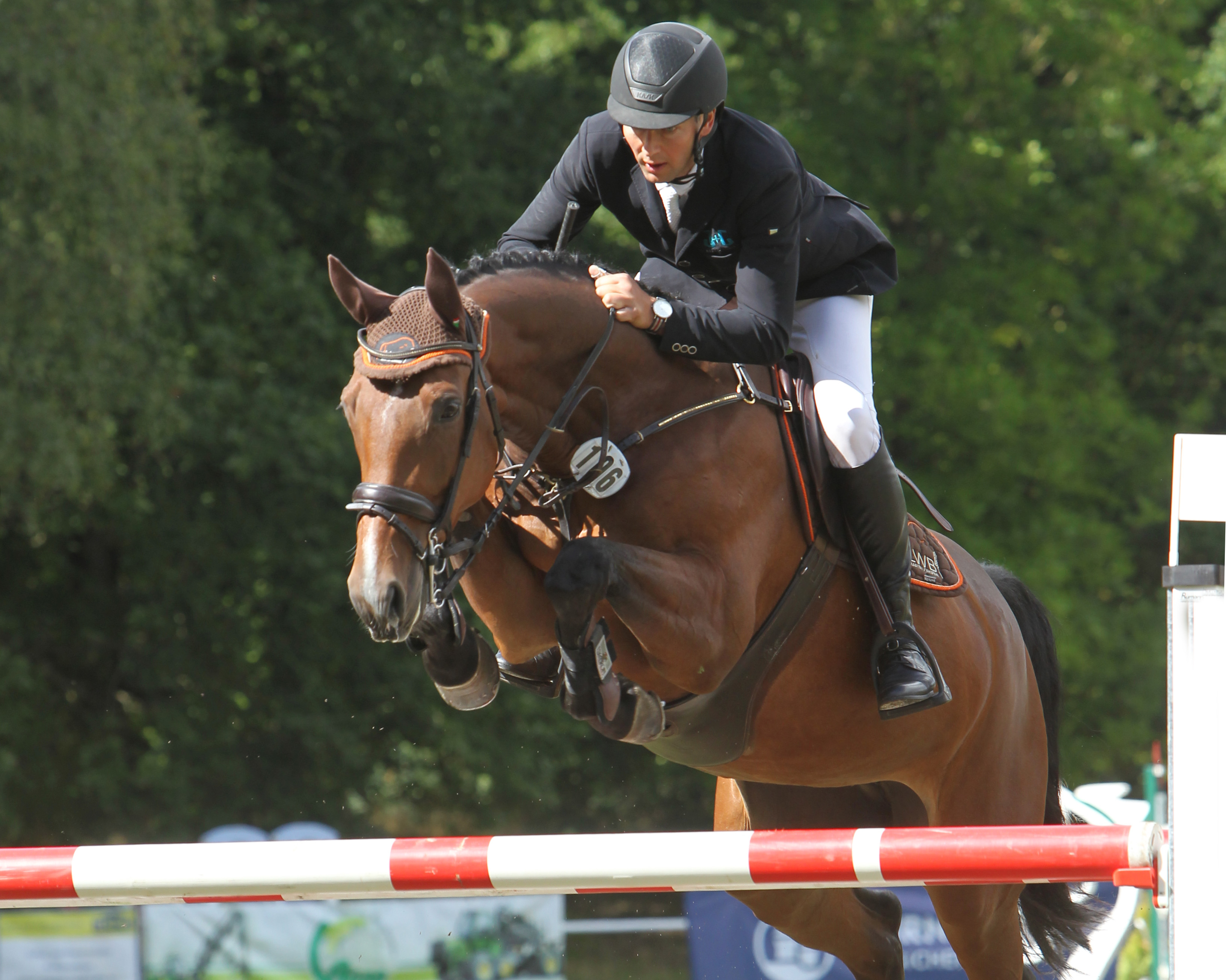 Der 55-jährige Olaf Jürgens aus Polzow gewann beim Pfingstturnier in Pasewalk den Großen Preis und das Championat auf dem 13-jährigen Boritas Bay. © Jutta Wego