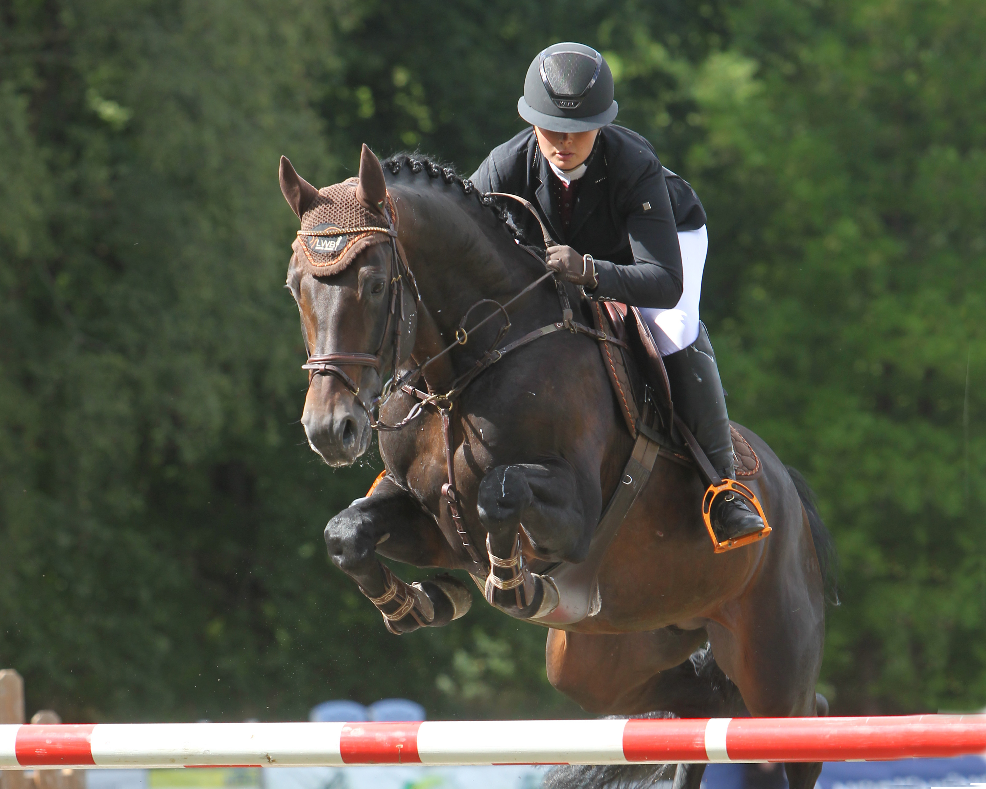 Mit dem gekörten Mecklenburger Hengst Diarano gewann Elisabeth Jürgens das S-Springen um die Qualifikation zur Junior-Future-Tour. © Jutta Wego