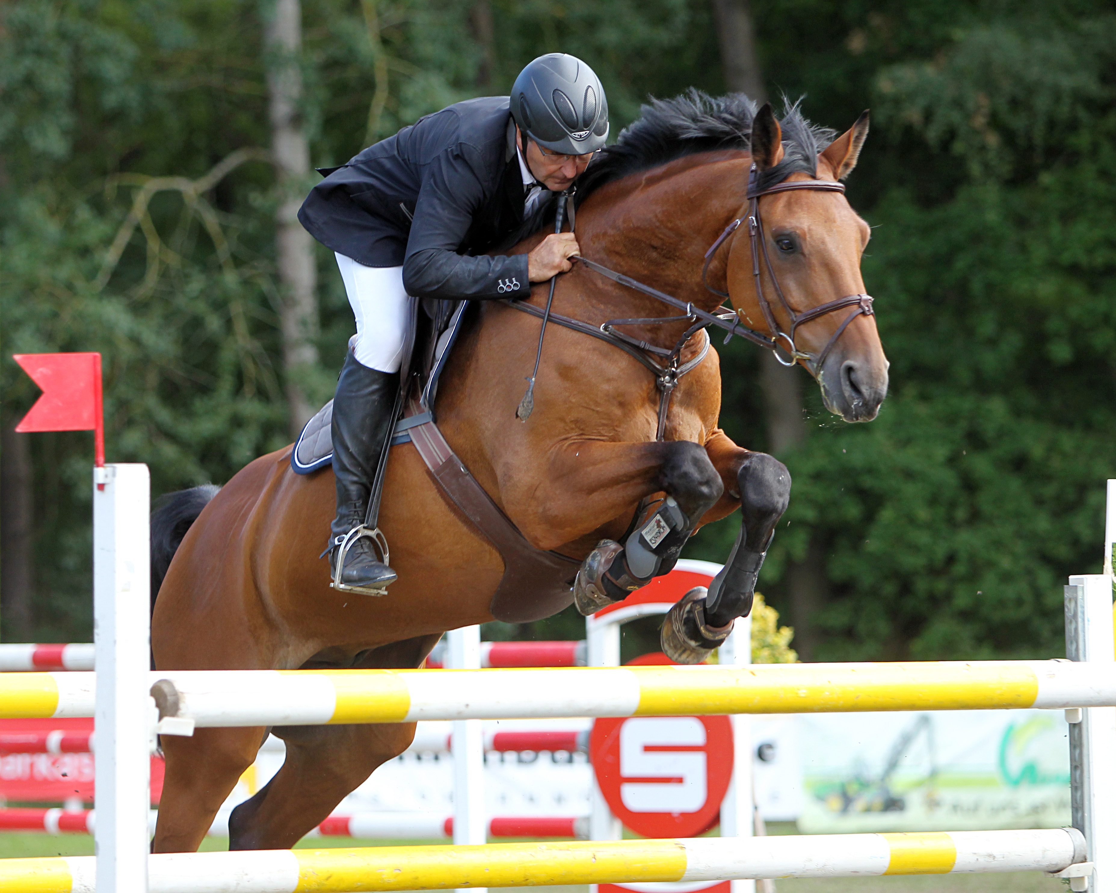 Der 55-jährige Olaf Jürgens aus Polzow gewann beim Pfingstturnier in Pasewalk den Großen Preis und das Championat auf dem 13-jährigen Boritas Bay. © Jutta Wego