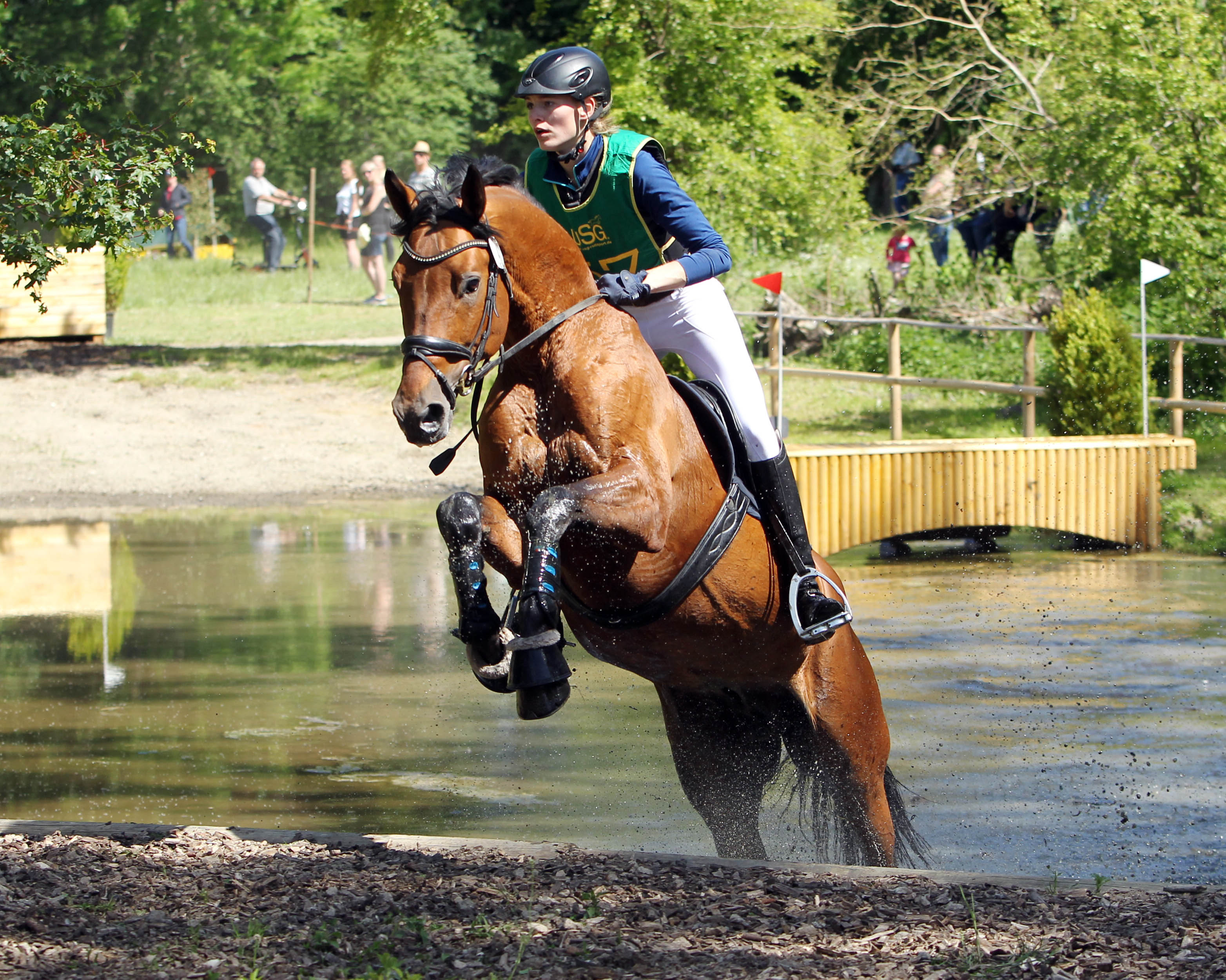Mit dem gekörten Trakehner Hengst Karlsson aus dem Gestüt Ganschow wurde die 20-jährige Paula Fatteicher (Neuendorf) Landesmeisterin der U25 Reiter in Klasse L. © Jutta Wego