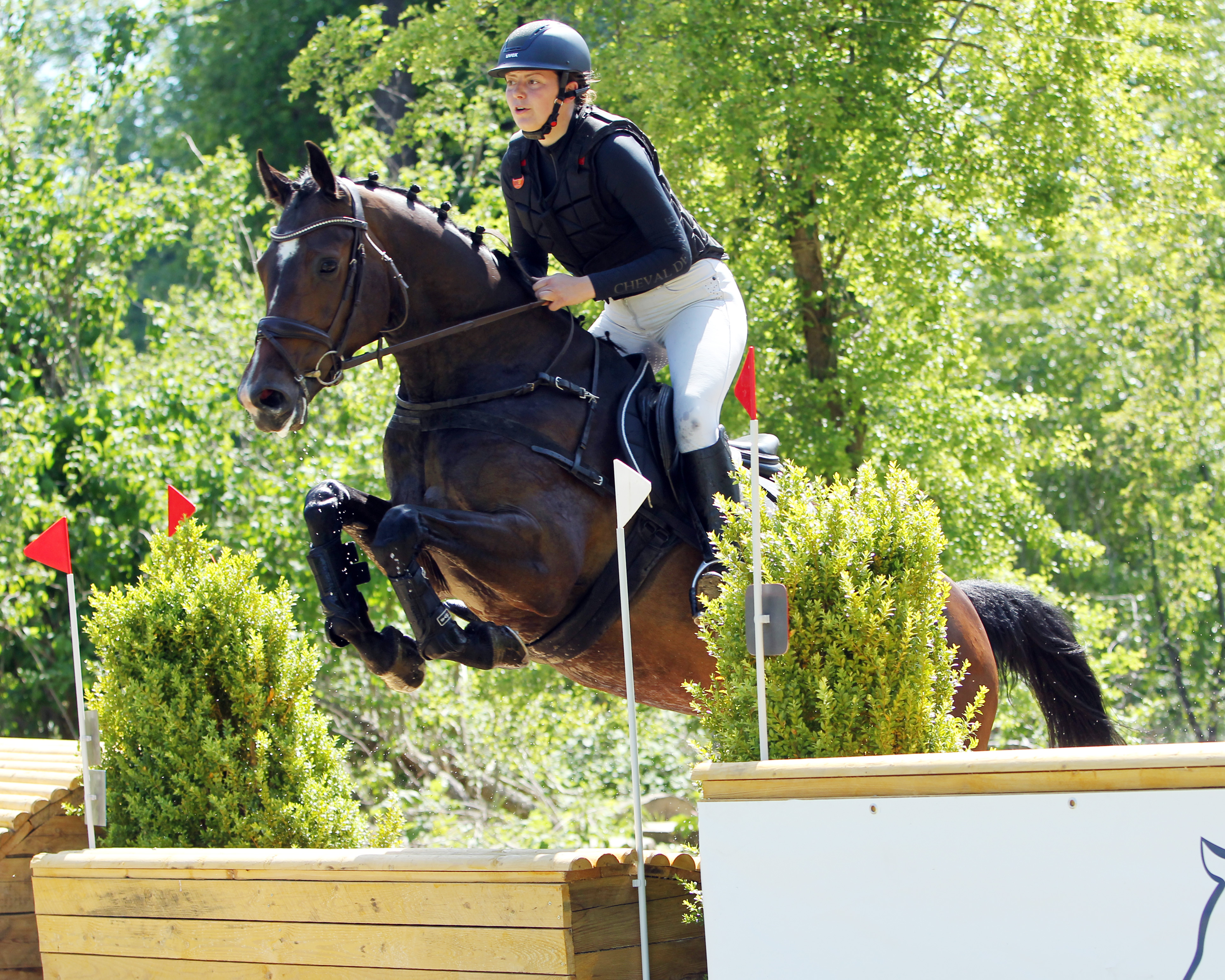 Die 5-jährige Stute DORA v. D’Olympic (Z.: Stefan Müll, Wittenbeck) wurde unter Juliana Kaup (Sommerstorf) Landeschampioness der Mecklenburger Vielseitigkeitspferde. © Jutta Wego