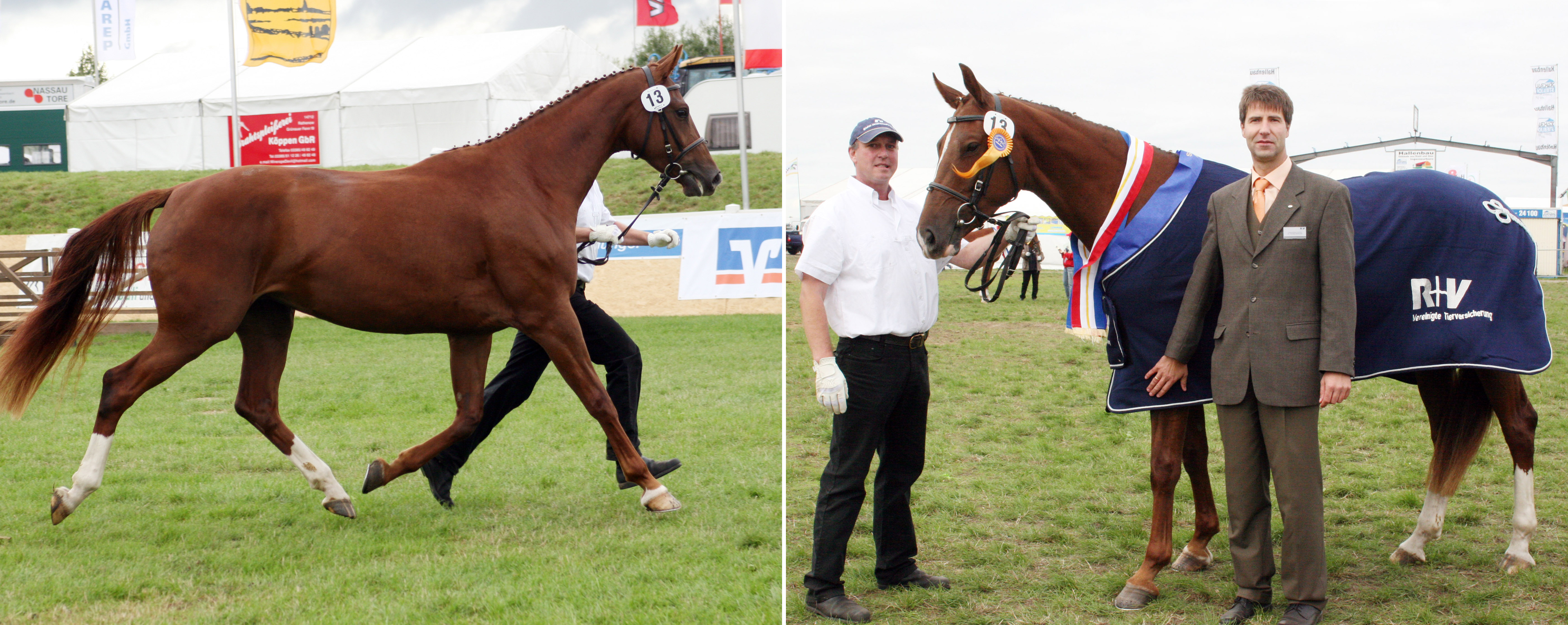 Links: Dyleen 2008 als 3-jährige Stute bei der Elite-Stutenschau in Mühlengeez. Rechts: Dyleen bei der Auszeichnung als Siegerstute mit ihrem Besitzer Andreas Maack und Sponsor Karsten Schmundt von der R+V Versicherung. © Jutta Wego