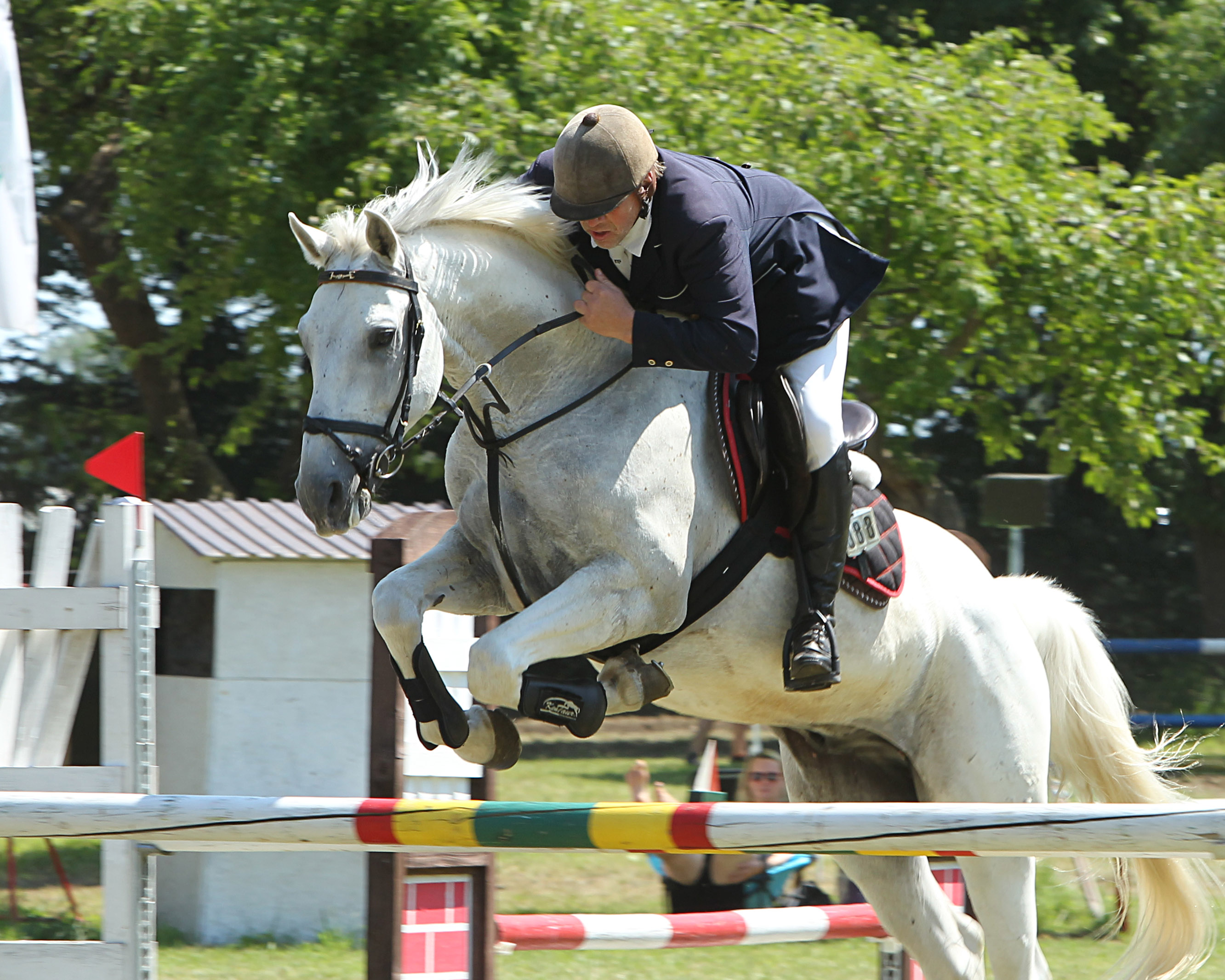 Mit drei Siegen auf seinem 17-jährigen Schimmel Cookie in Ludorf fuhr Steffen Kalugien aus Sukow wieder nach Hause zurück. © Jutta Wego