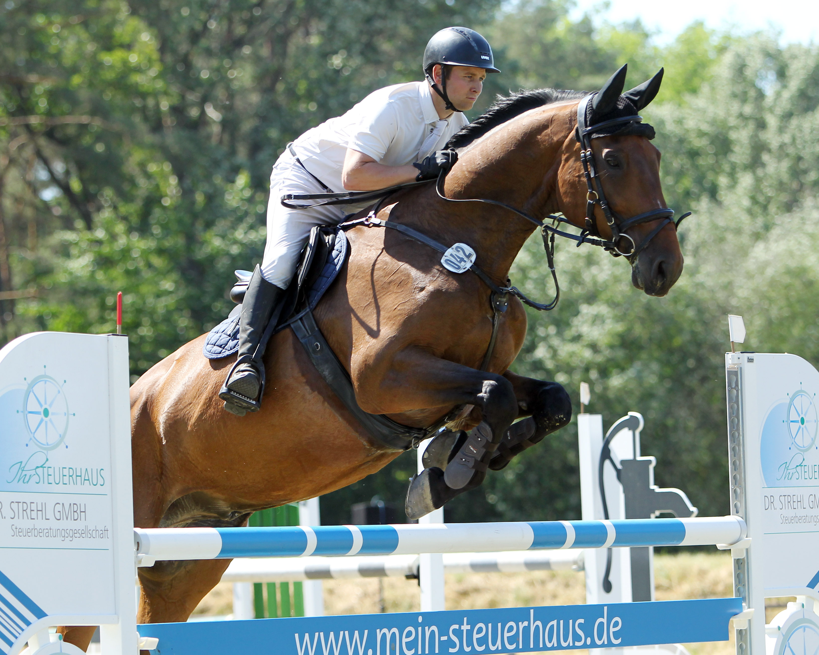 Dreifacher Springsieger in Oldenhagen wurde Hannes Prehl (Altkamp). Das L-Springen gewann er auf dem 13-jährigen Cupido. © Jutta Wego