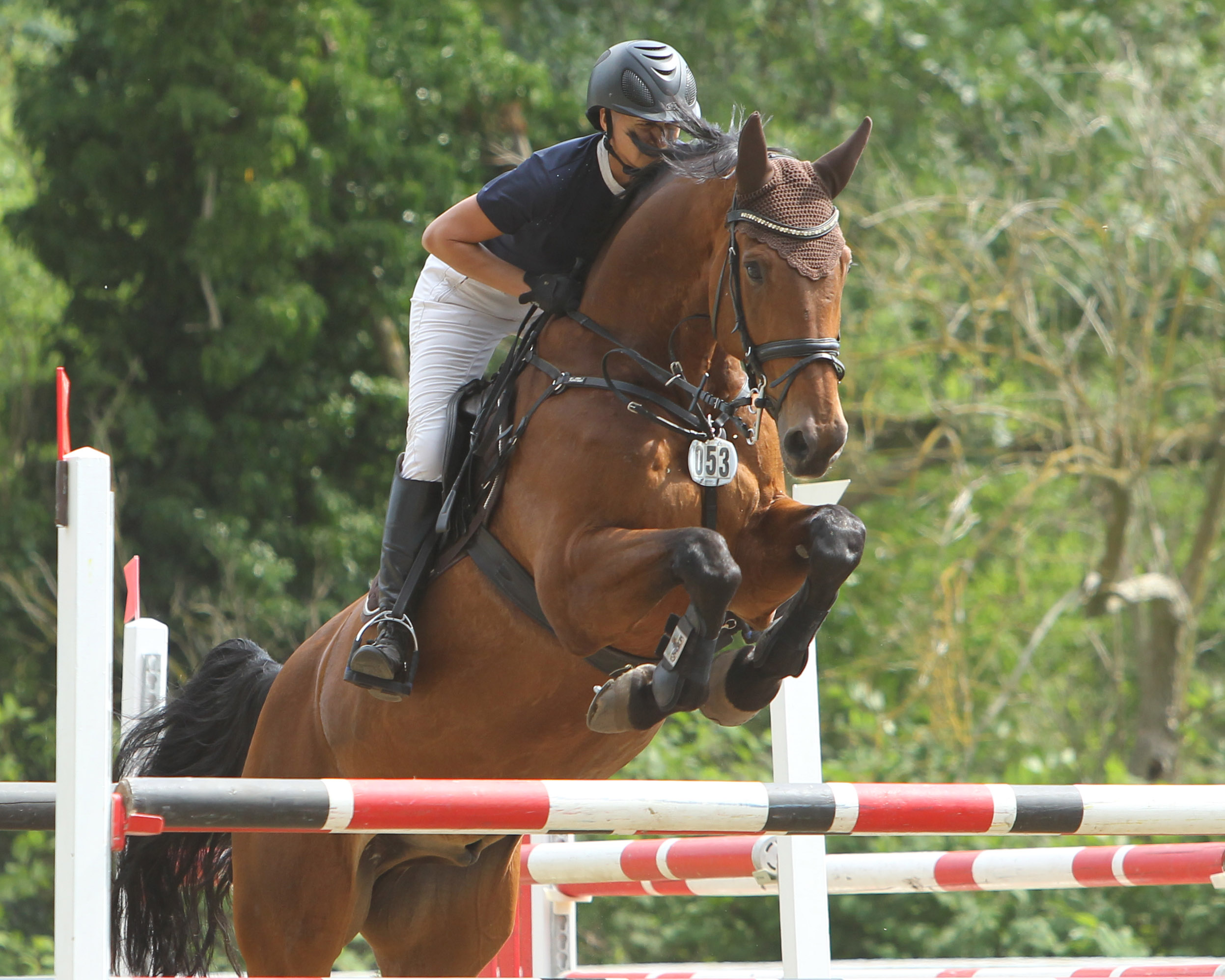 Siegerin des M-Springens in Alt Bukow wurde Ramona Schilloks aus Güstrow mit Cenny. © Jutta Wego