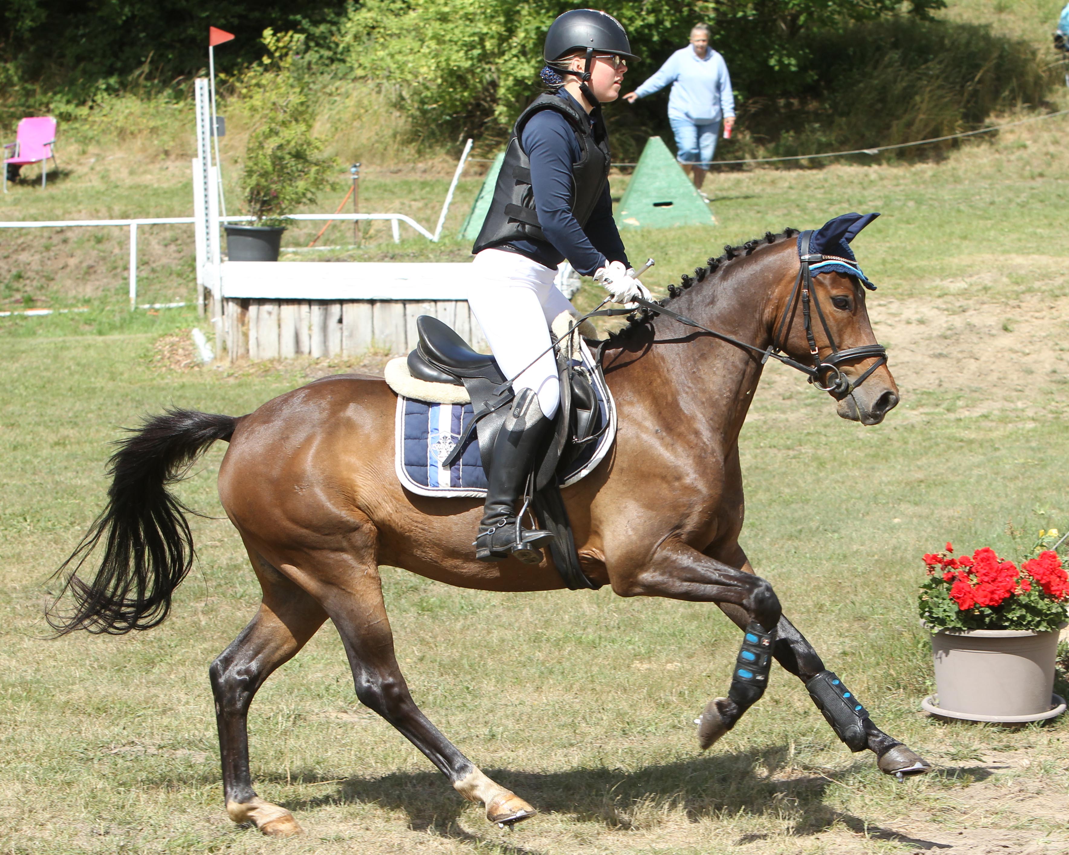 Die 14-jährige Hanna Marie Koubin holte sich mit Pony Summertime B den Landesmeistertitel bei den Ponyreitern. © Jutta Wego