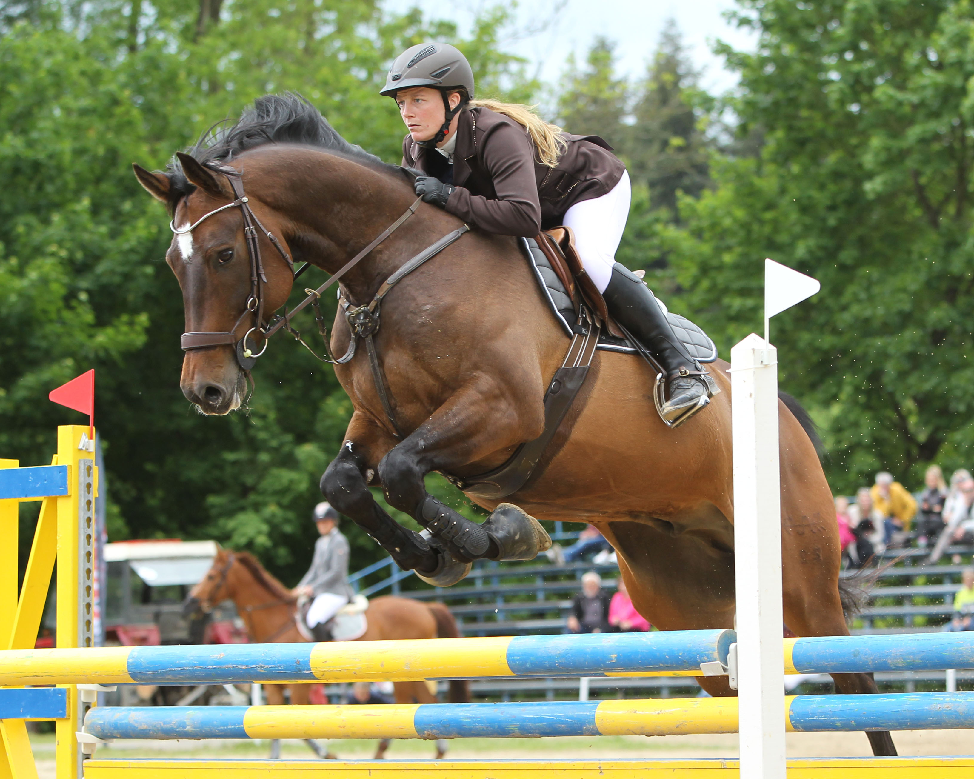 Das M-Springen am Samstag gewann Nicole Boller (Dummerstorf) mit Conquistador. © Archiv Wego