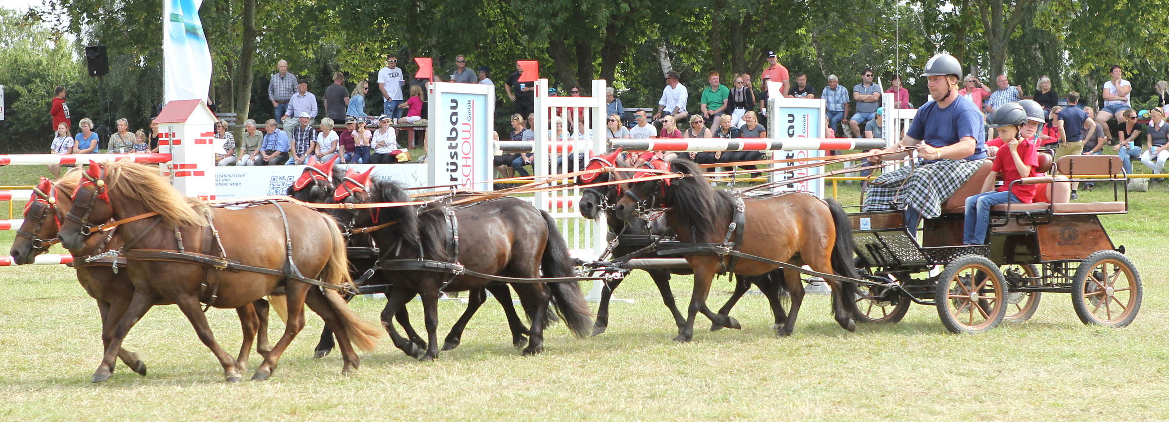 Im Showblock präsentierten sich drei Shetland-Ponygespanne. Darunter Stephan Pannwitt aus Neuburg mit diesem schönen Sechserzug. © Jutta Wego
