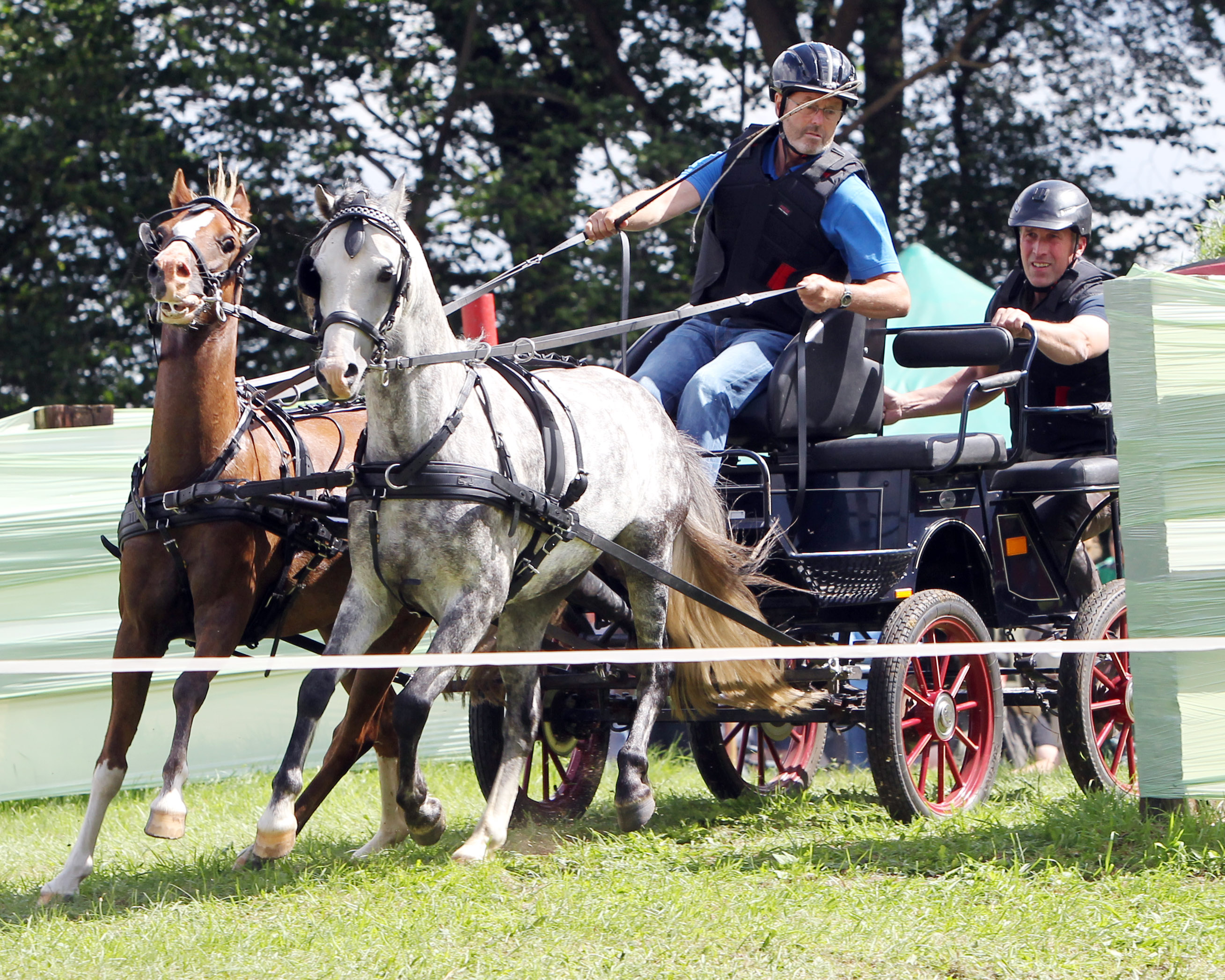 Als Sieger der Kombinierten Prüfung Klasse A mit den Ponys Limus und Let’s Dance wurde Udo Haugk aus Jarmen zugleich Kreismeister der Gespannfahrer des Landkreises Vorpommern-Greifswald. © Archiv Wego