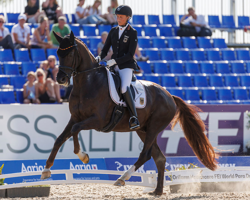 Regine Mispelkamp und Highlander Delight's. Foto (c) Stefan Lafrentz