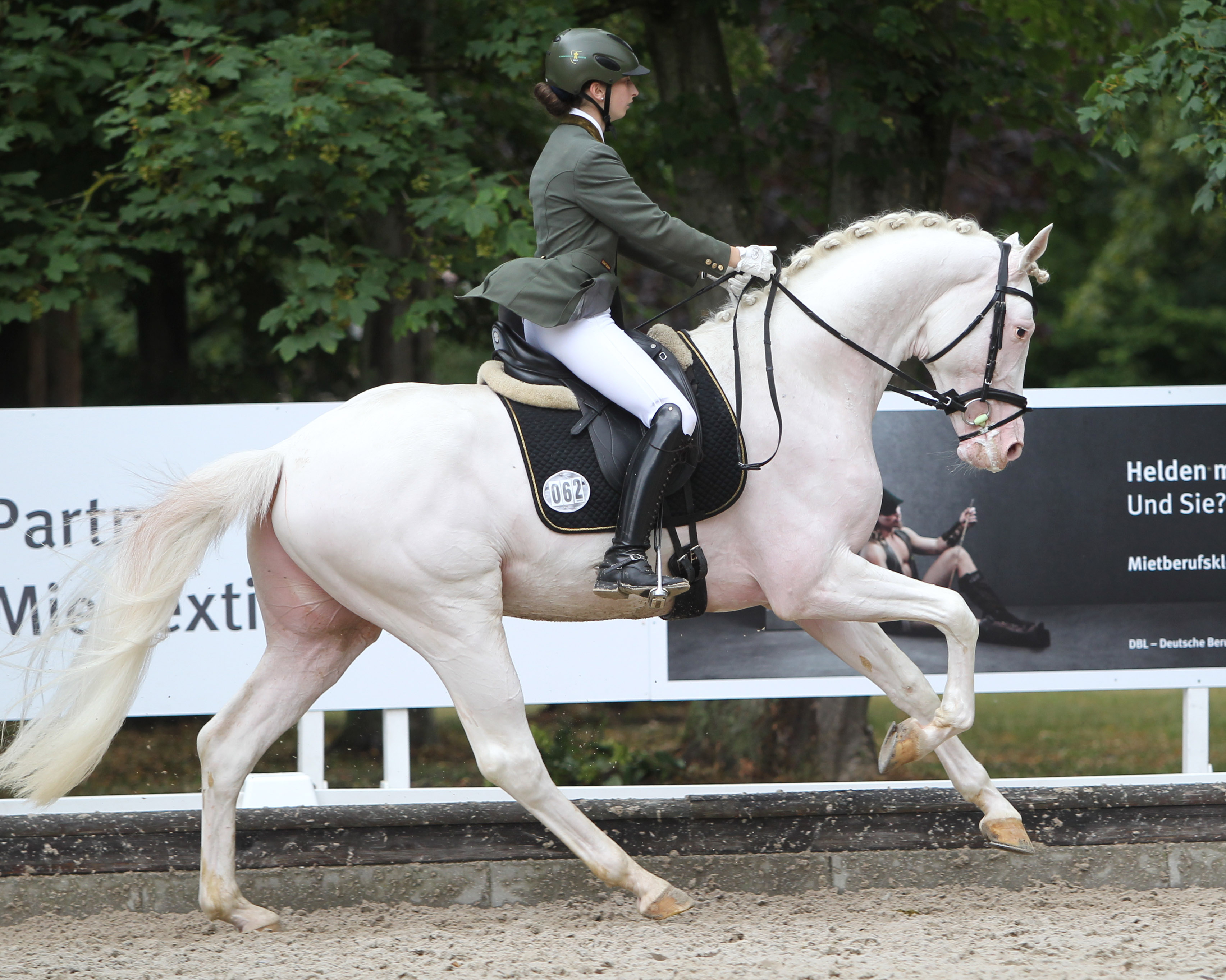 Die Reitpferdeprüfung gewann Svea Groß (Redefin) auf dem 3-jährigen gekörten Hengst Esquin White (v. Escamillo) mit Wertnote 8,1. © Archiv Wego
