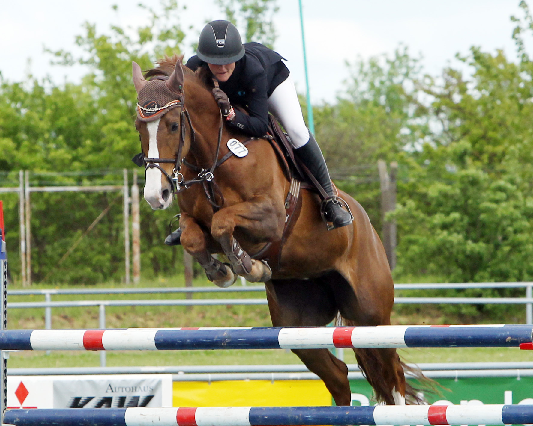 Das Championat von Plöwen hat Anna Ebel-Jürgens mit Charletta gewonnen und im Großen Preis wurden sie Vierte. © Archiv Wego