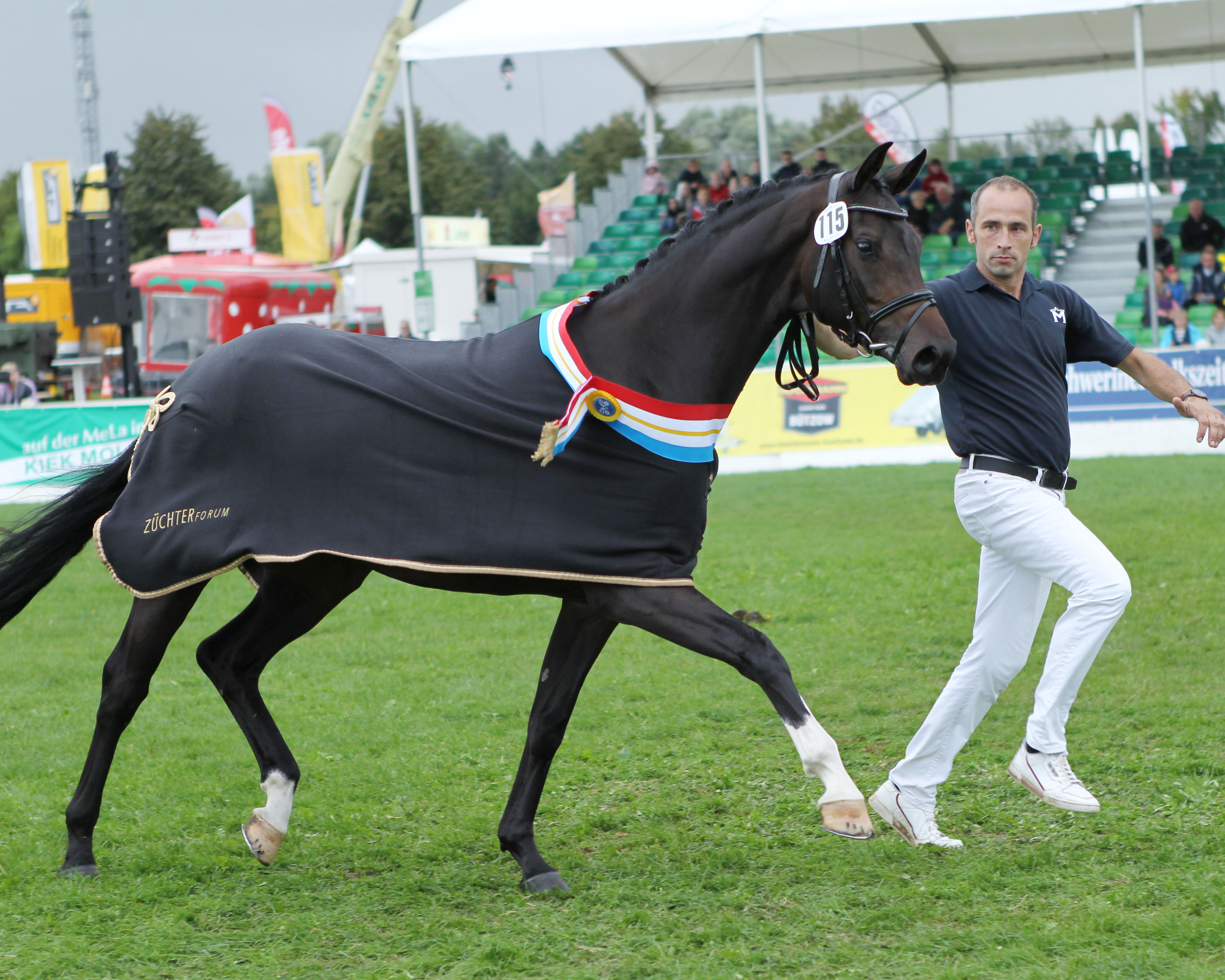 Miss Mela 2021 und Vizelandeschampioness der 4jährigen Reitpferde 2022 Frieda © Jutta Wego