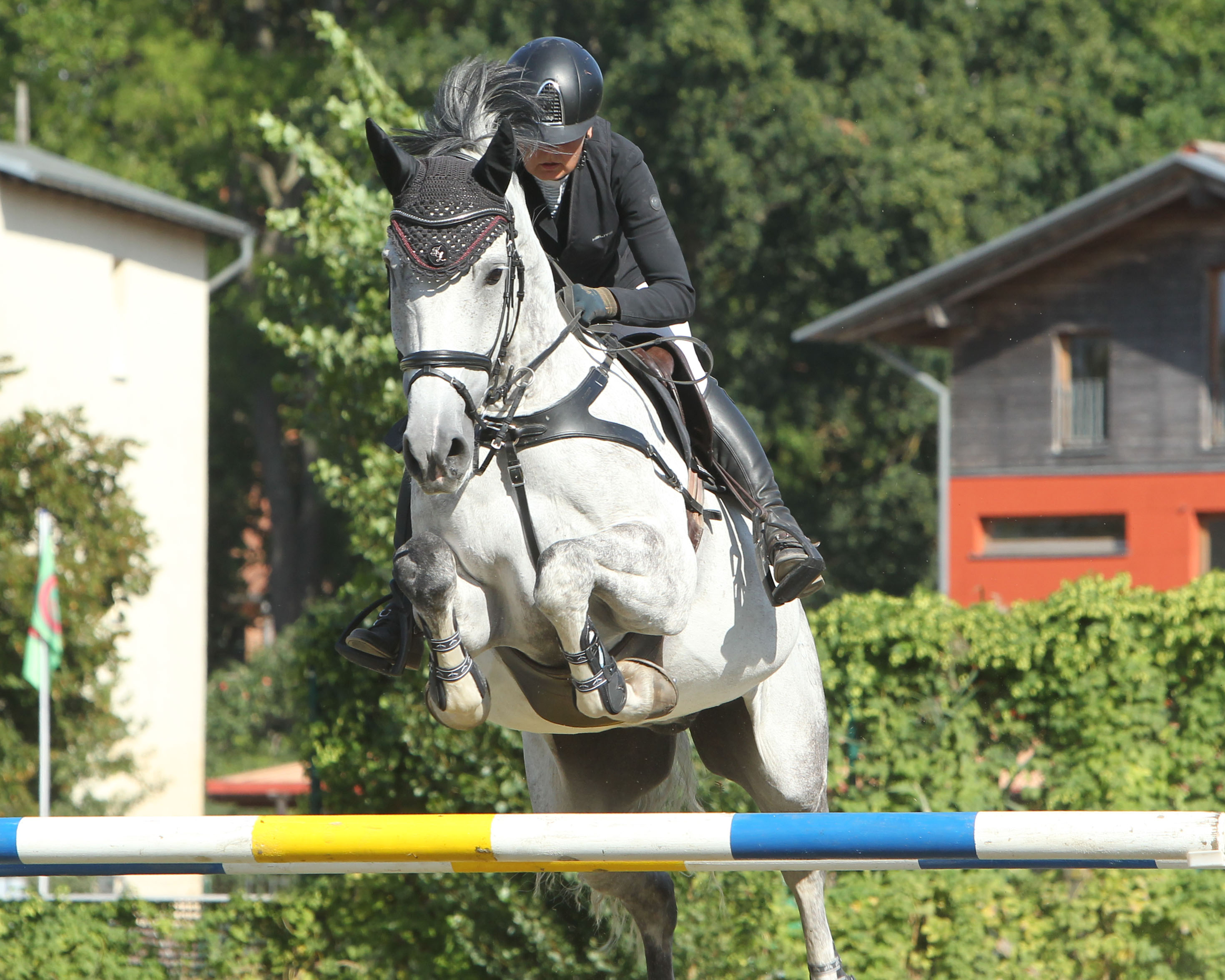 Die Finnin Kati Lekander aus Karow hat mit Clintall (v. Clinton I) das Championat (M**) am Samstag gewonnen. © Jutta Wego