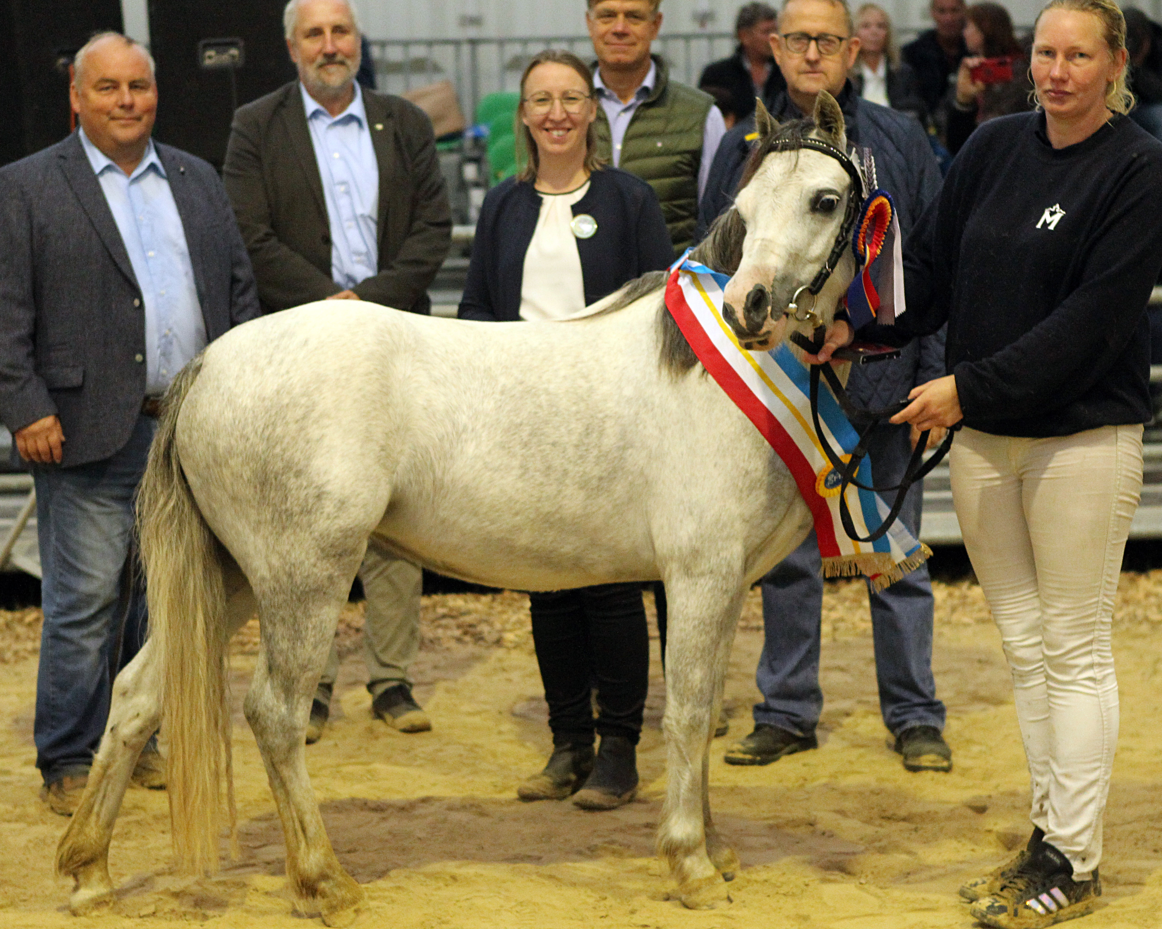 Siegerin Welsh Mountain Pony: Immybrook Viva La Viva von Immybrook Ap Liewelyn (Z.u.A.: Bianca Knopik aus Woldegk).