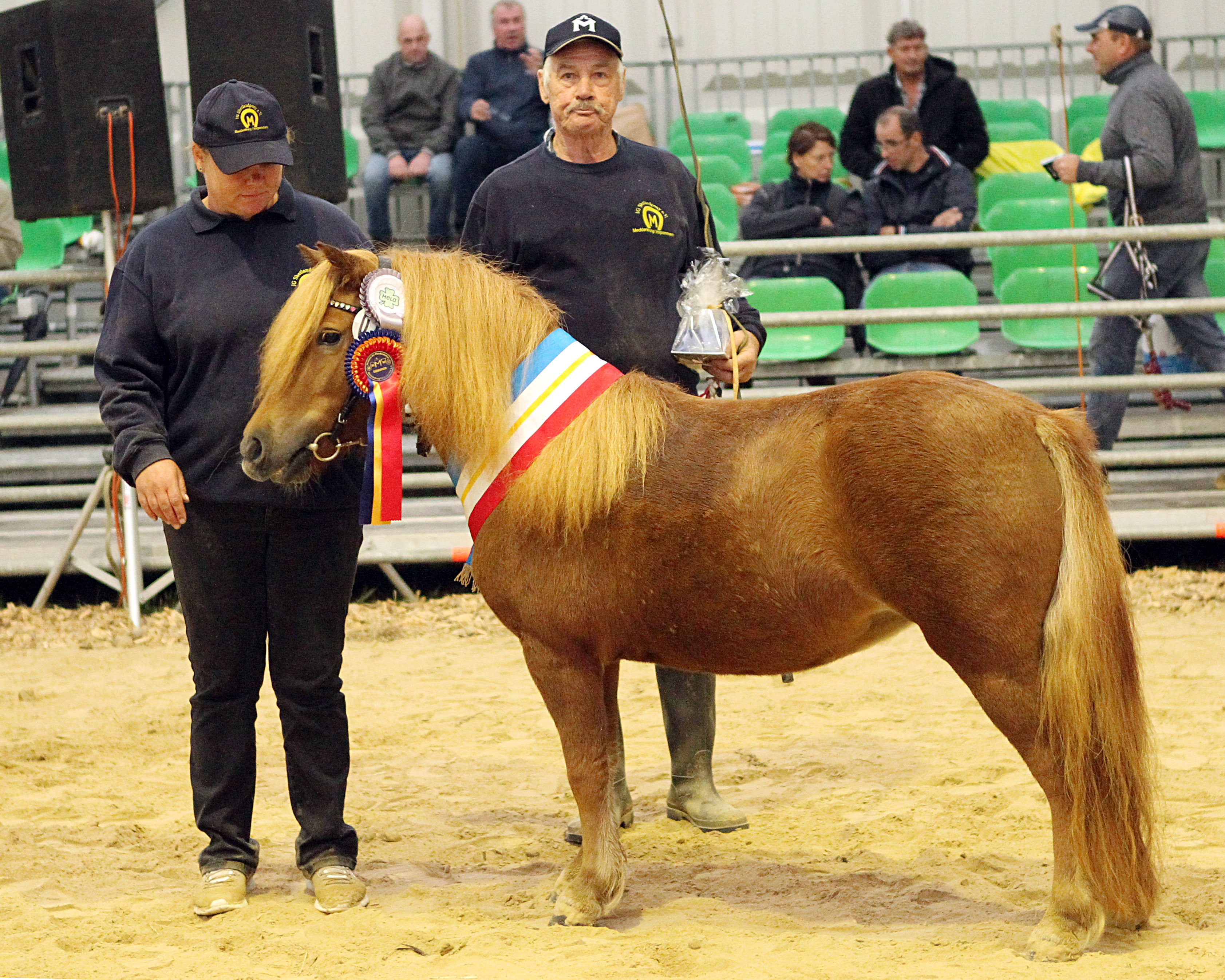 Der Shetlandponyzüchter Gisbert Koch aus Setzin (hier mit der Siegerstute und Reservesiegerin über alle Rassen Chila II bei der Elite-Stutenschau in Mühlengeez) wurde von Landwirtschaftsminister Dr. Till Backhaus für sein bisheriges Lebenswert mit dem Tierzuchtpreis des Landes Mecklenburg-Vorpommern 2022 ausgezeichnet. © Jutta Wego 