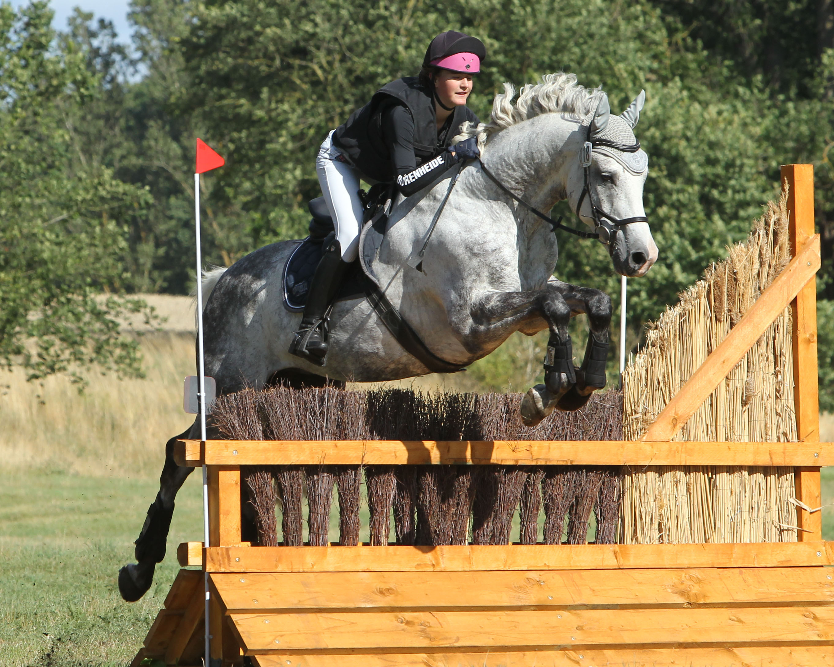 Helene Bürenheide gewann mit dem Schimmel Calomini in Westerstede den Bundeswettkampf der Vielseitigkeitsreiter bis 16 Jahre. © Jutta Wego