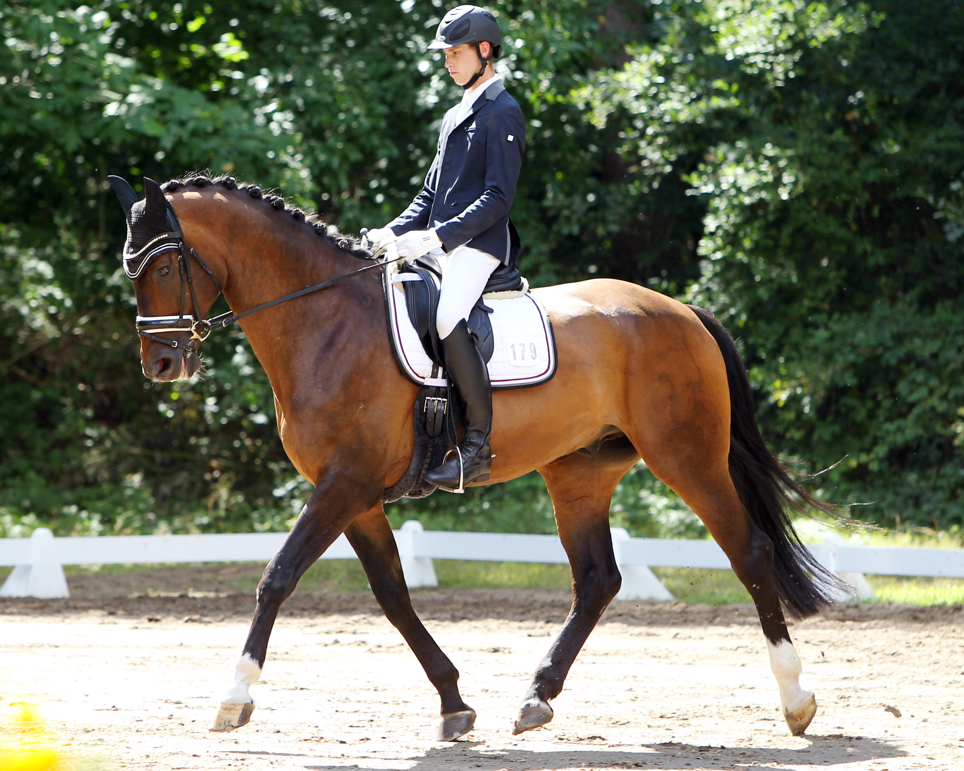 Die zweite L-Dressur gewann der Gadebuscher Niklas Rieck mit Soliman de Charry. © Jutta Wego