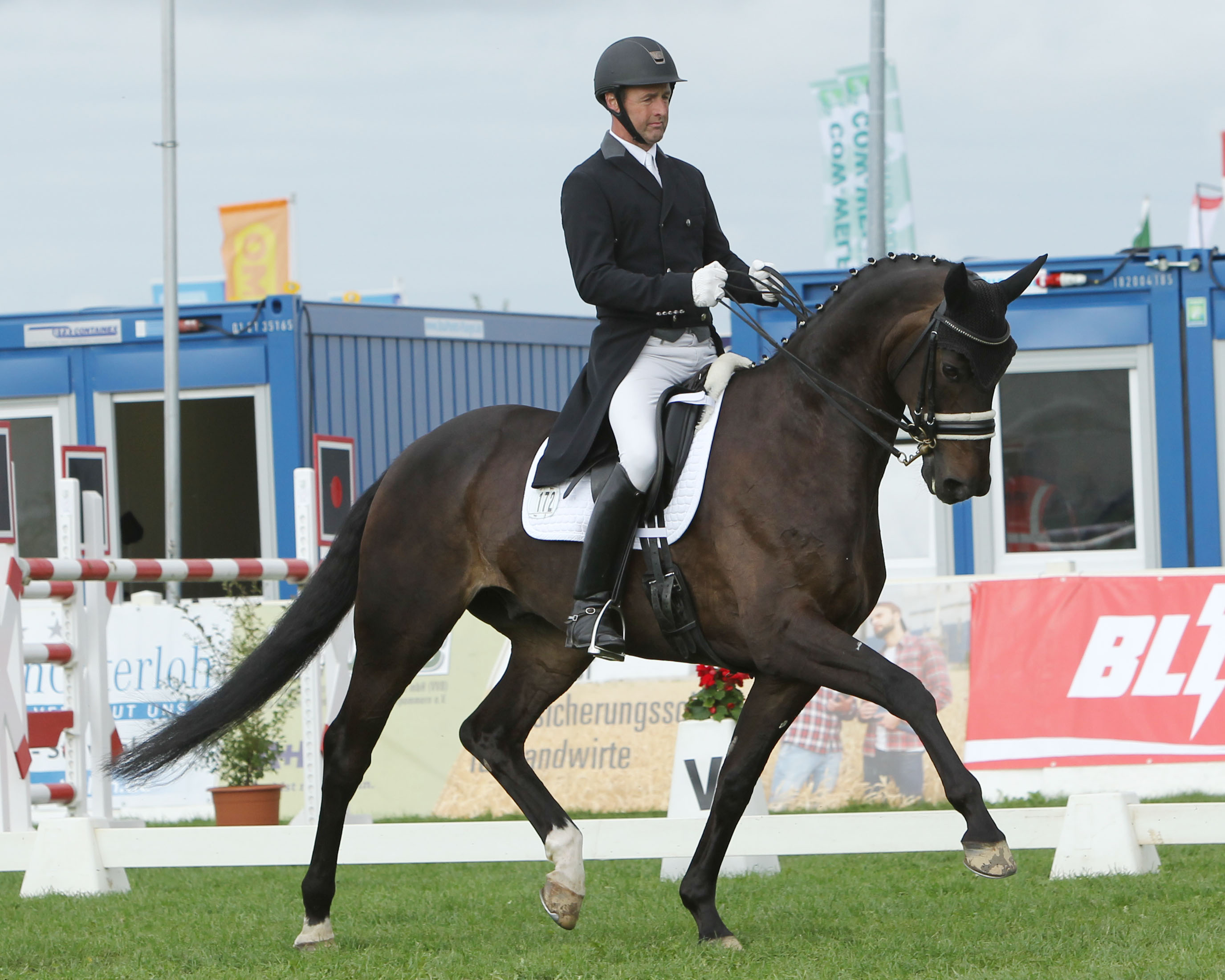 Das Ranking der Dressurreiter führt mit 15.949 Punkten, wie in den Vorjahren, Ronald Lüders aus Gutow an, der für den RV Güstrow reitet (hier auf Royal Rubiniro). © Jutta Wego