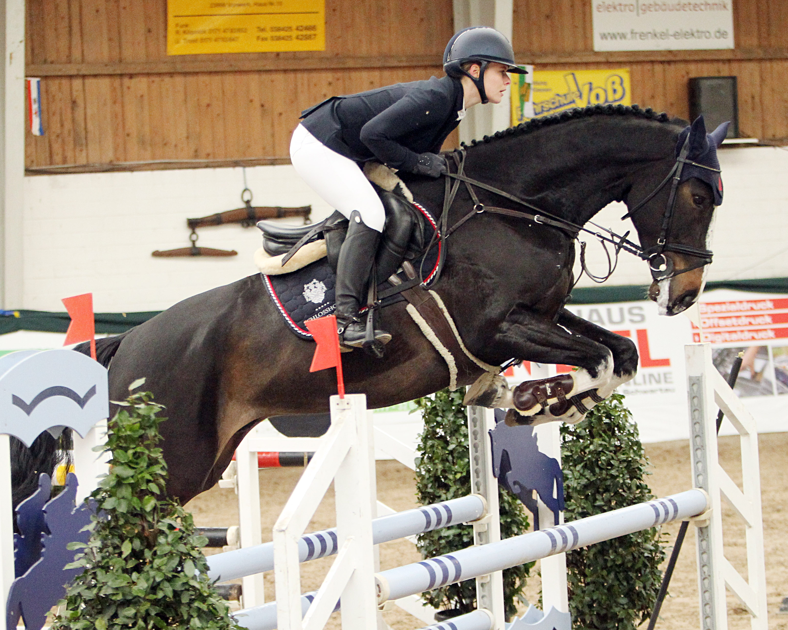 Dreimal konnte sich die aktuelle Landesmeisterin der Damen, Stella Egger (Schloss Wendorf) in den Springpferdeprüfungen platzieren, in Klasse L gab es mit Domiziano Z Wertnote 8,4. © Jutta Wego