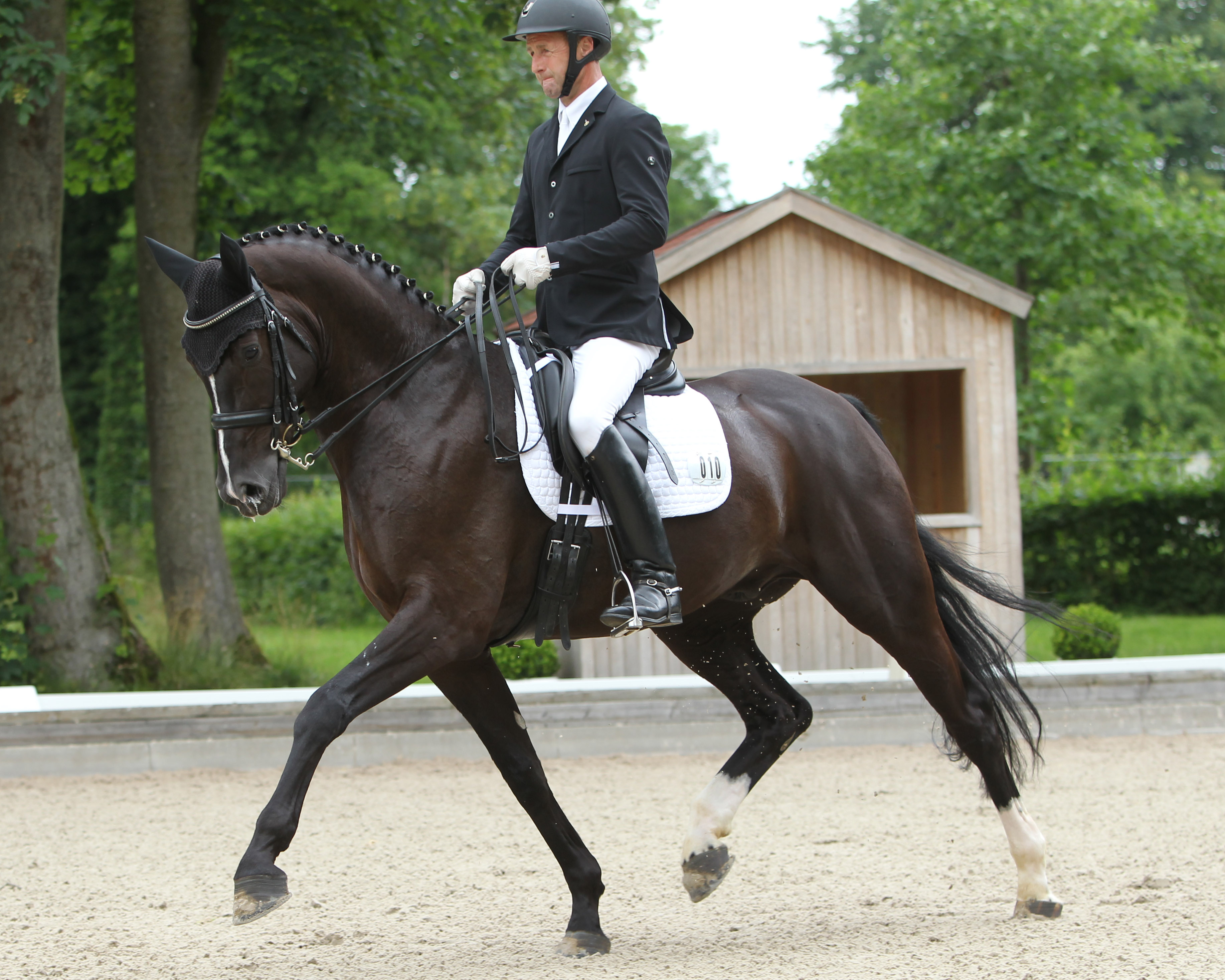 Im Großen Preis beim 56. Hallen-Dressurchampionat in Tremsdorf, der Intermediaire I, wurde Ronald Lüders aus Gutow, der für den RV Güstrow reitet, mit dem 8-jährigen DSP Black Belantis Zweiter. © Archiv Wego