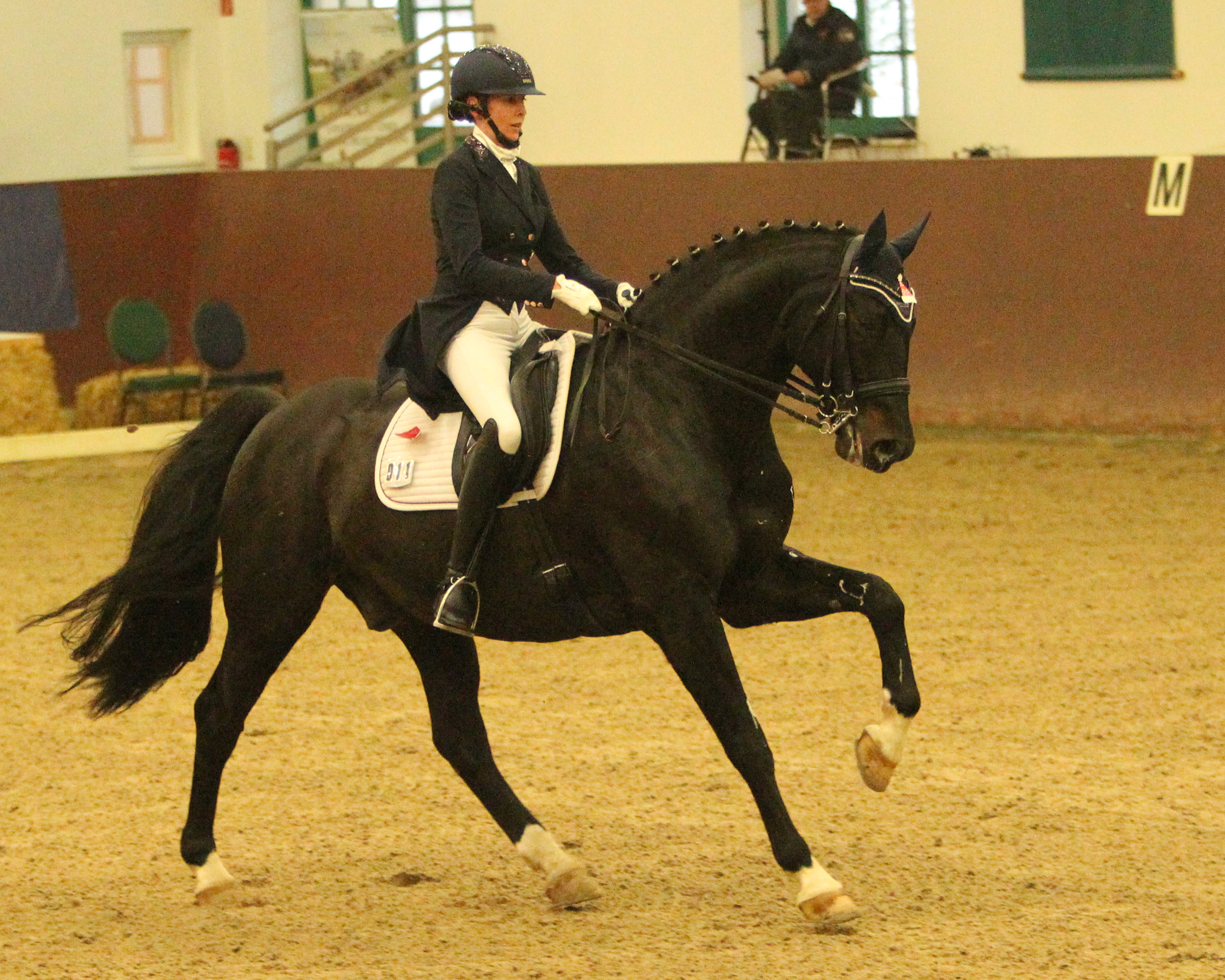 Christina Thieme gewann mit Coffee to go den Prix Sankt Georg und die Intermediaire I. © Jutta Wego