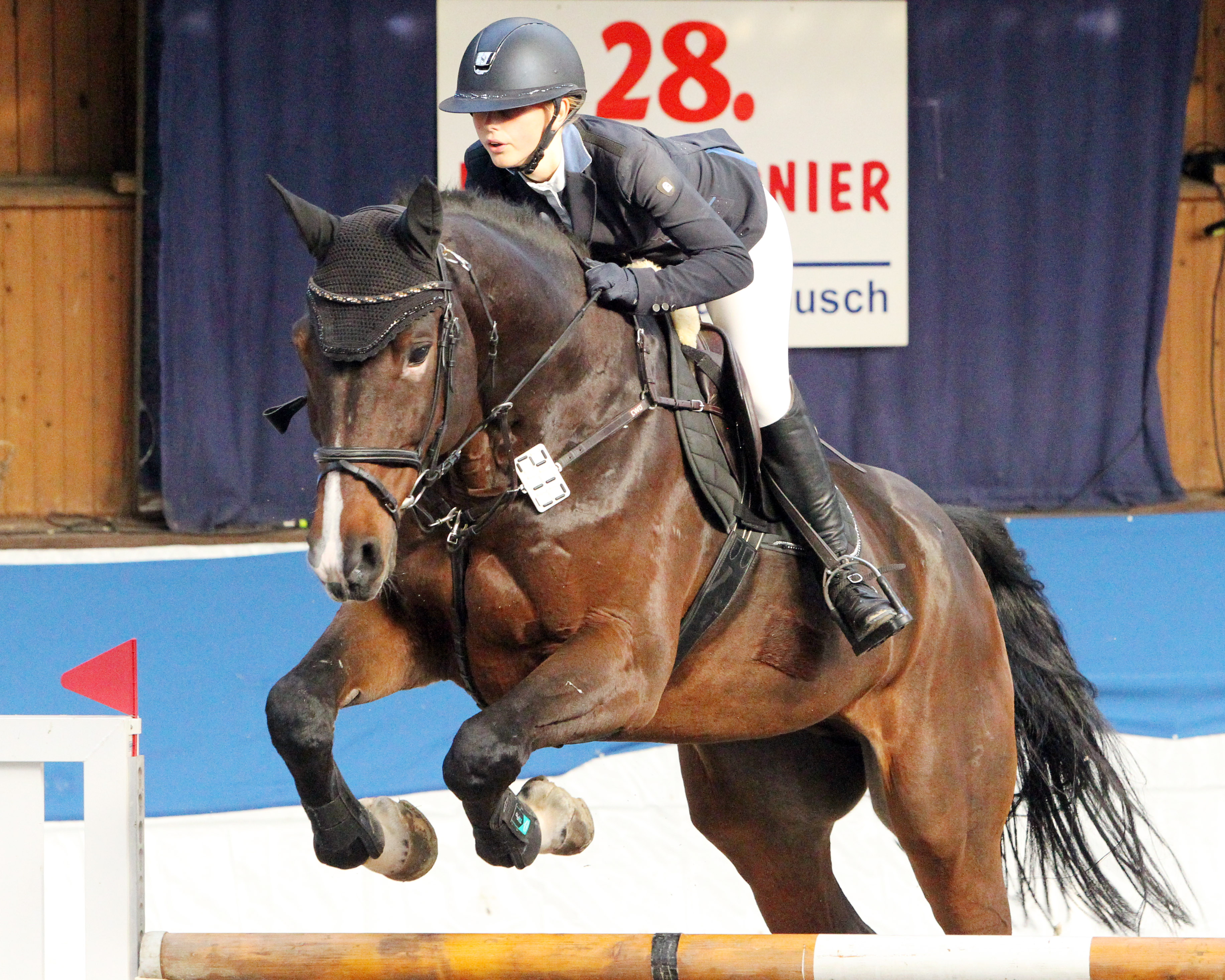 Mit zwei Platzierungen kehrte die 16-jährige Celina Makowei von den Sichtungsprüfungen zum HGW Bundesnachwuchschampionat in Prussendorf nach Gadebusch zurück. In den Stilspringen der Klasse M wurde sie am Samstag mit Christian (Foto) Zweite (8,2) und am Sonntag mit Stilnote 8,4 auf Callista Fünfte. Archiv Wego
